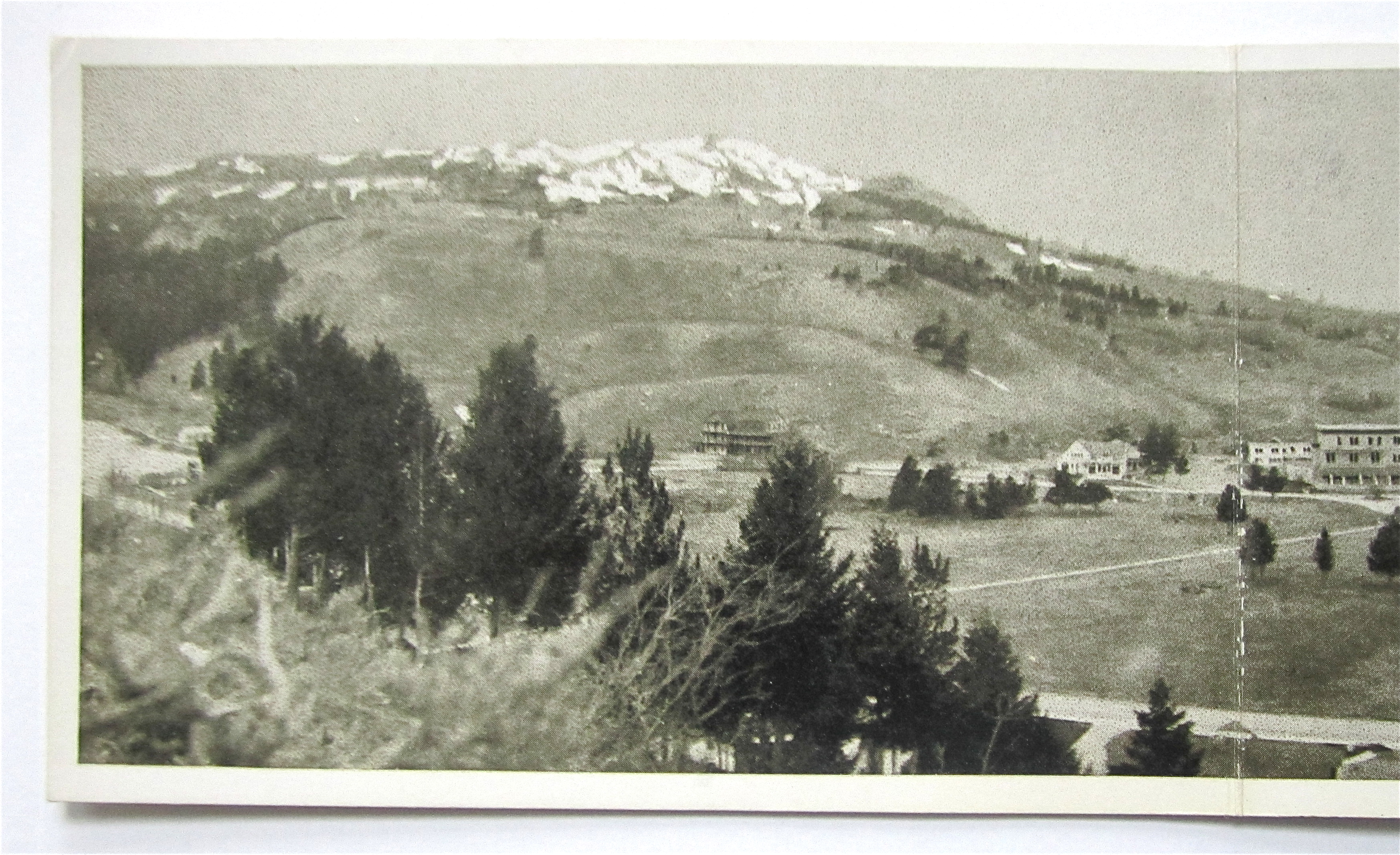 Mammoth Hot Springs, Yellowstone Park, Wyoming Postcard