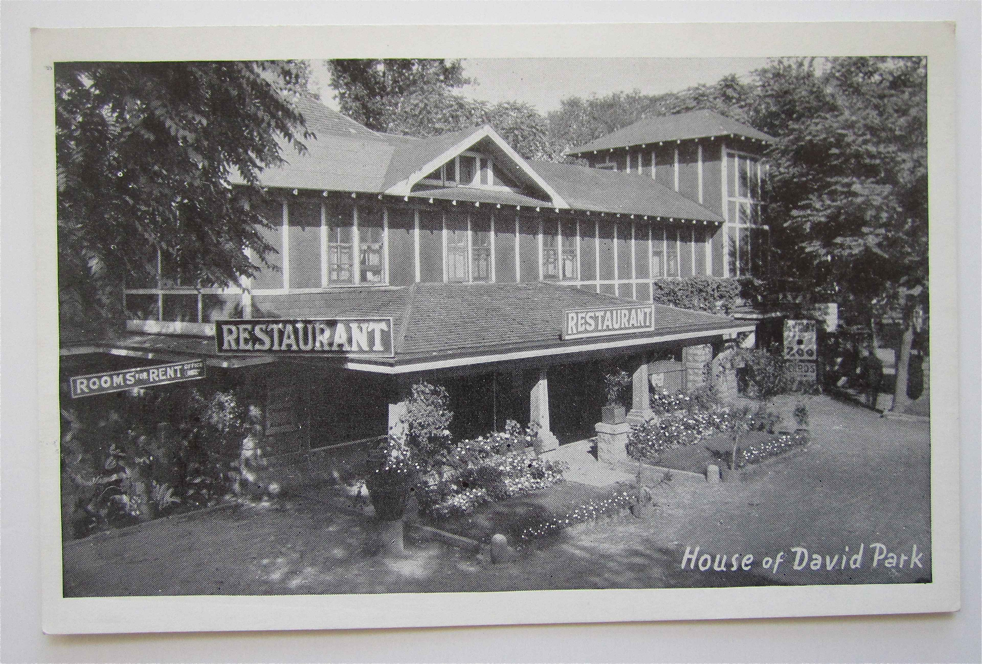Eden Springs, House Of David Park Postcard