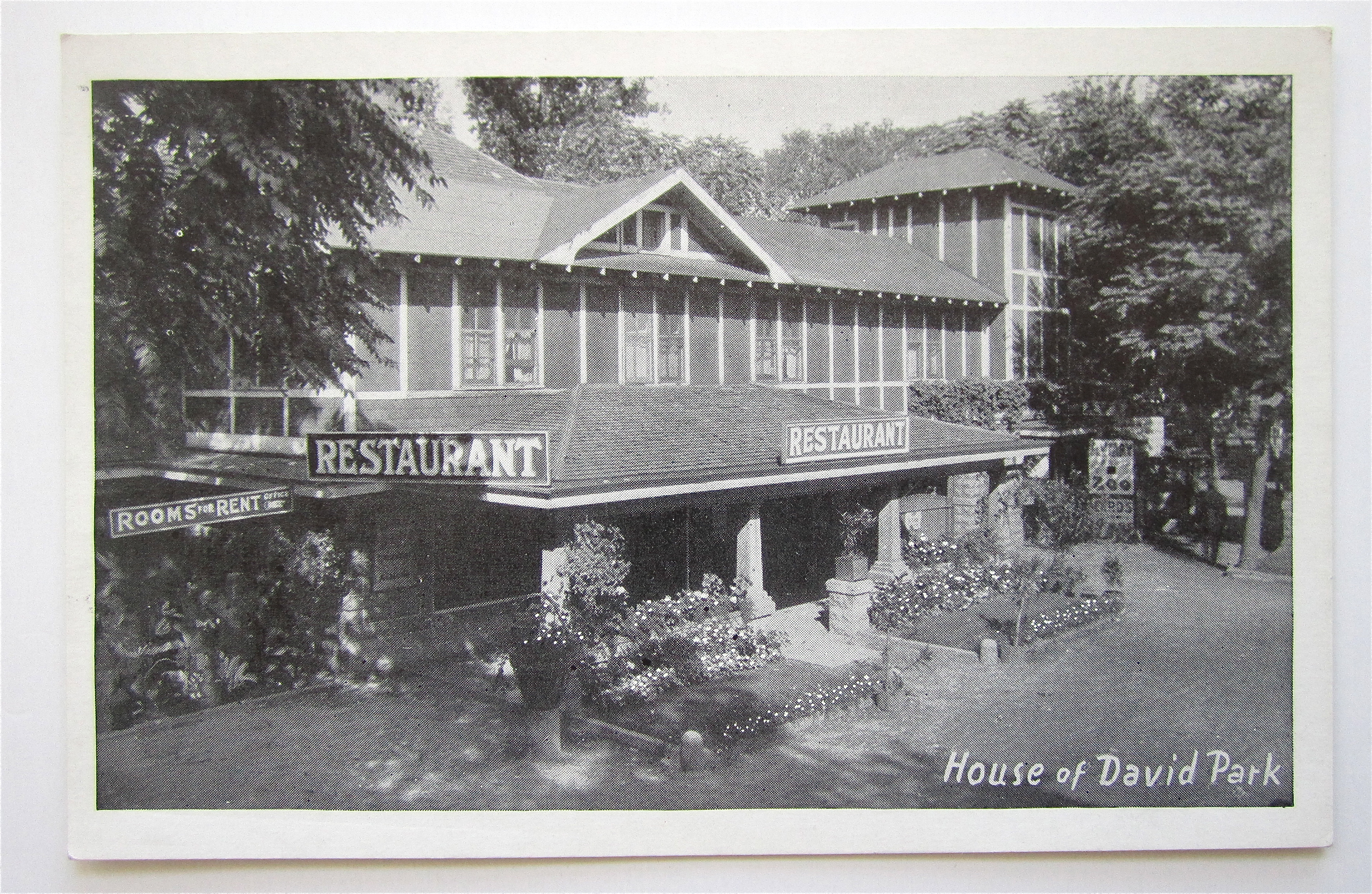Eden Springs, House Of David Park Postcard