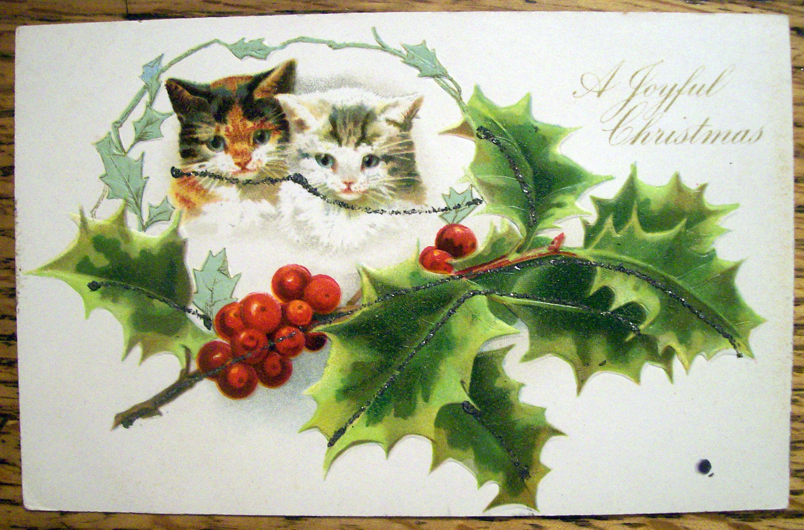A Joyful Christmas Postcard with Dog & Cat