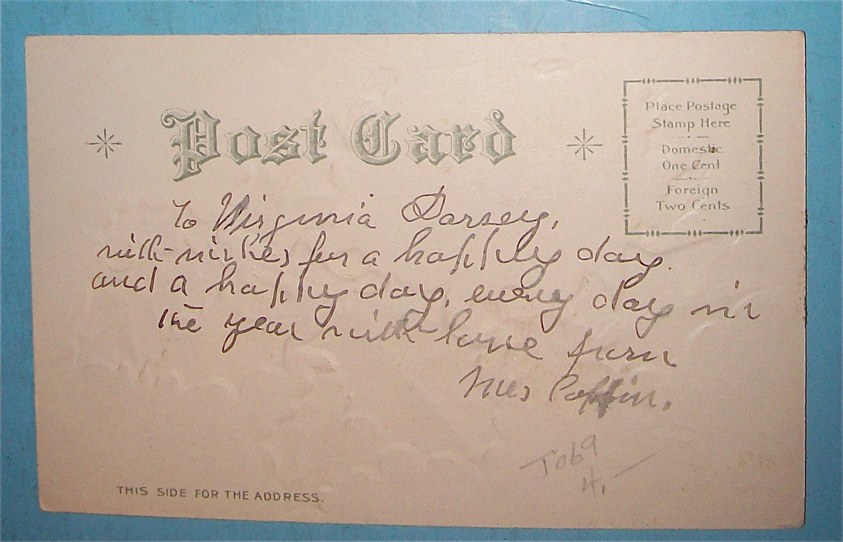A Joyful Christmas Postcard with Dog & Cat