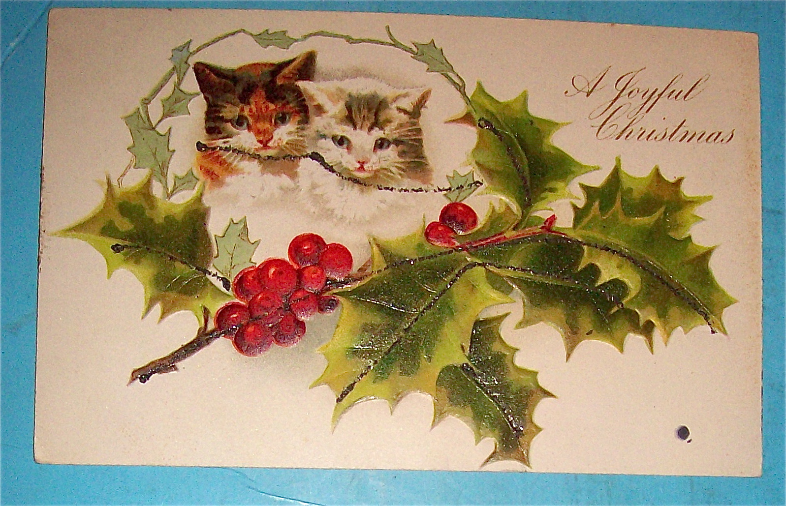 A Joyful Christmas Postcard with Dog & Cat