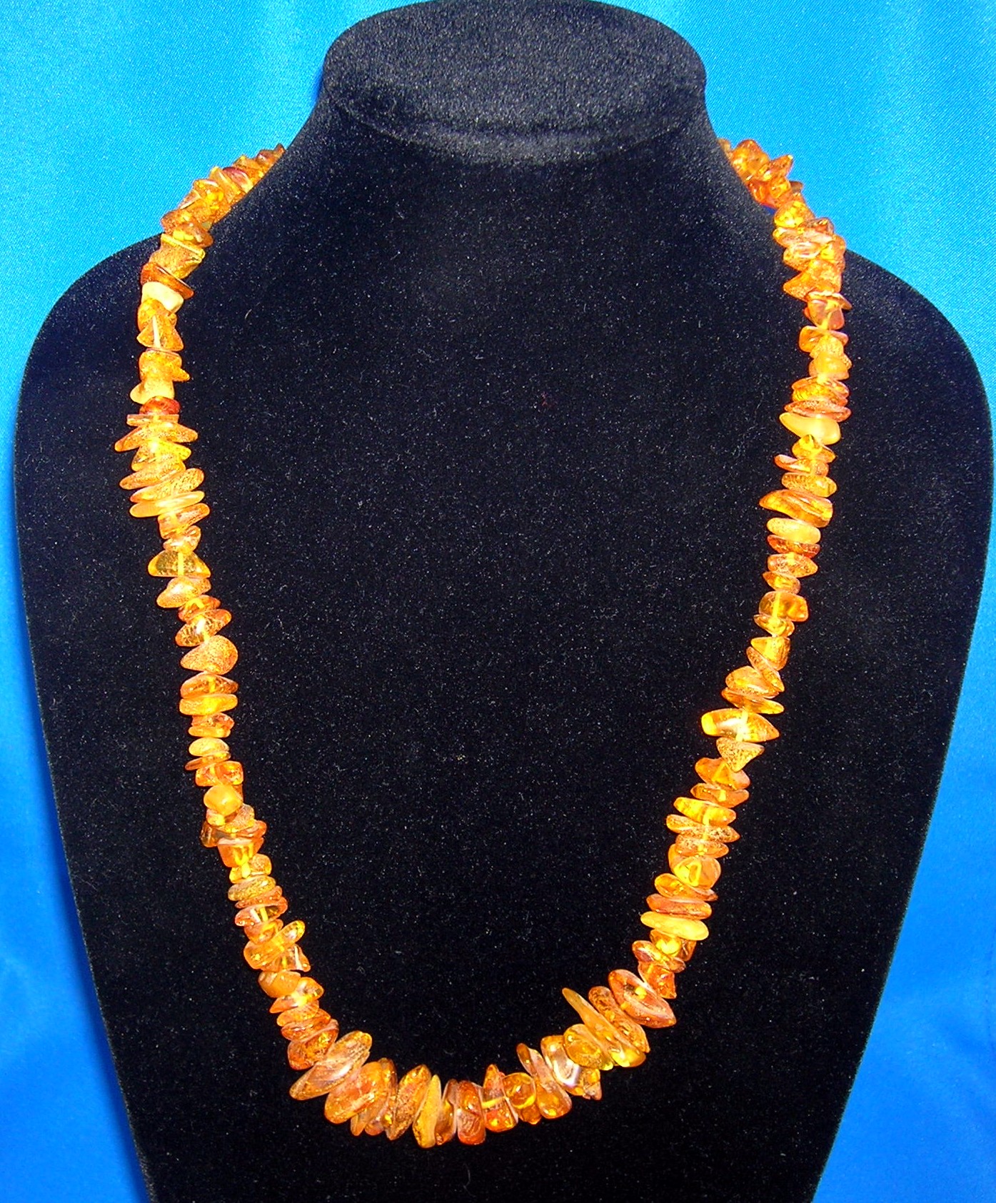 Baltic Amber 28 Inch Necklace with Bugs