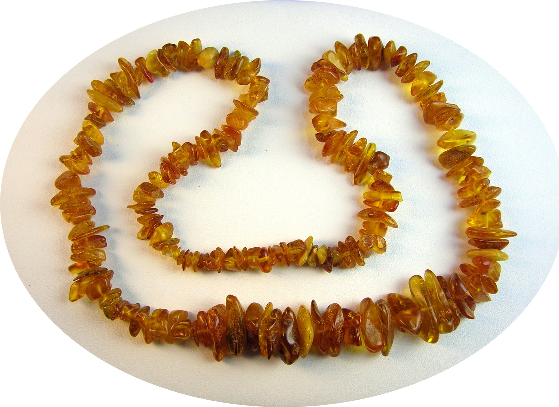 Baltic Amber 28 Inch Necklace with Bugs