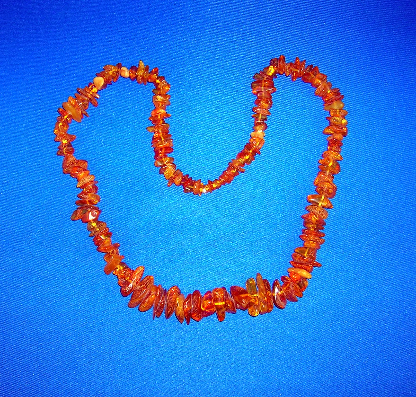 Baltic Amber 28 Inch Necklace with Bugs