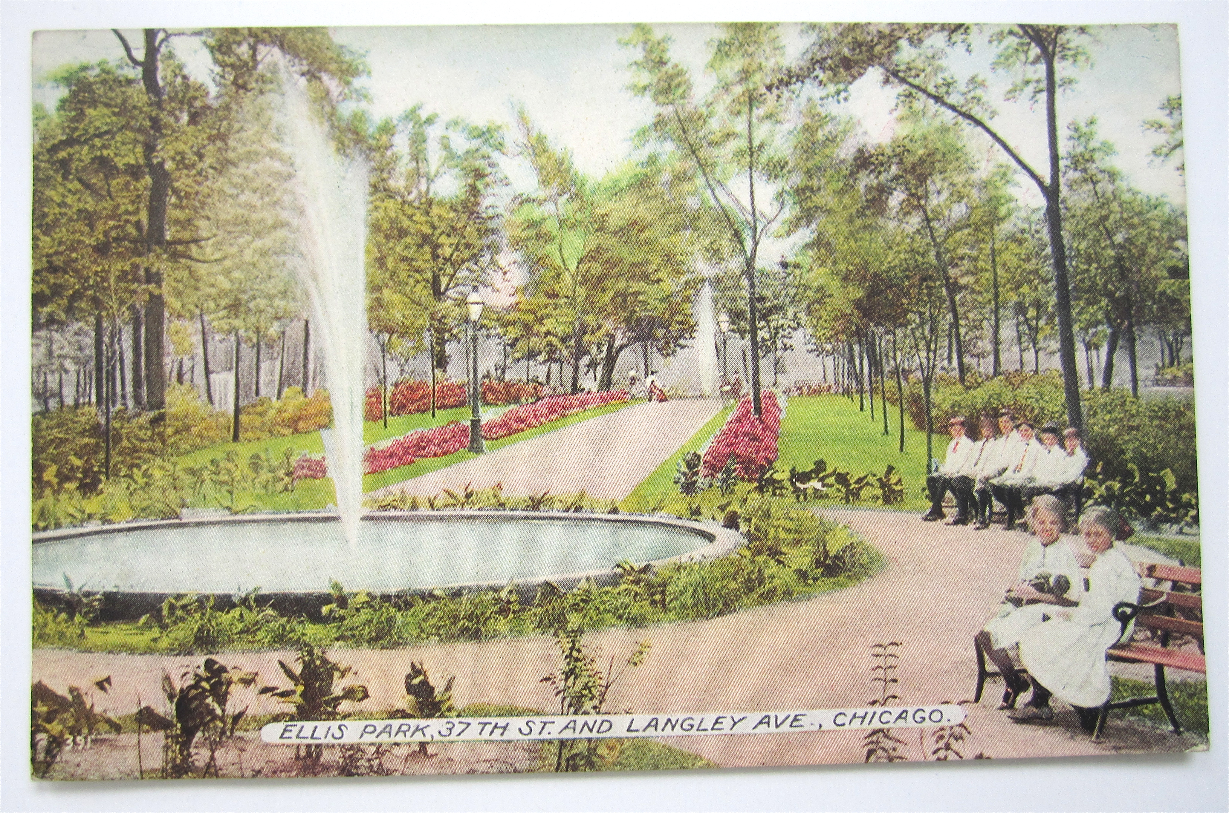Ellis Park Postcard (Chicago)