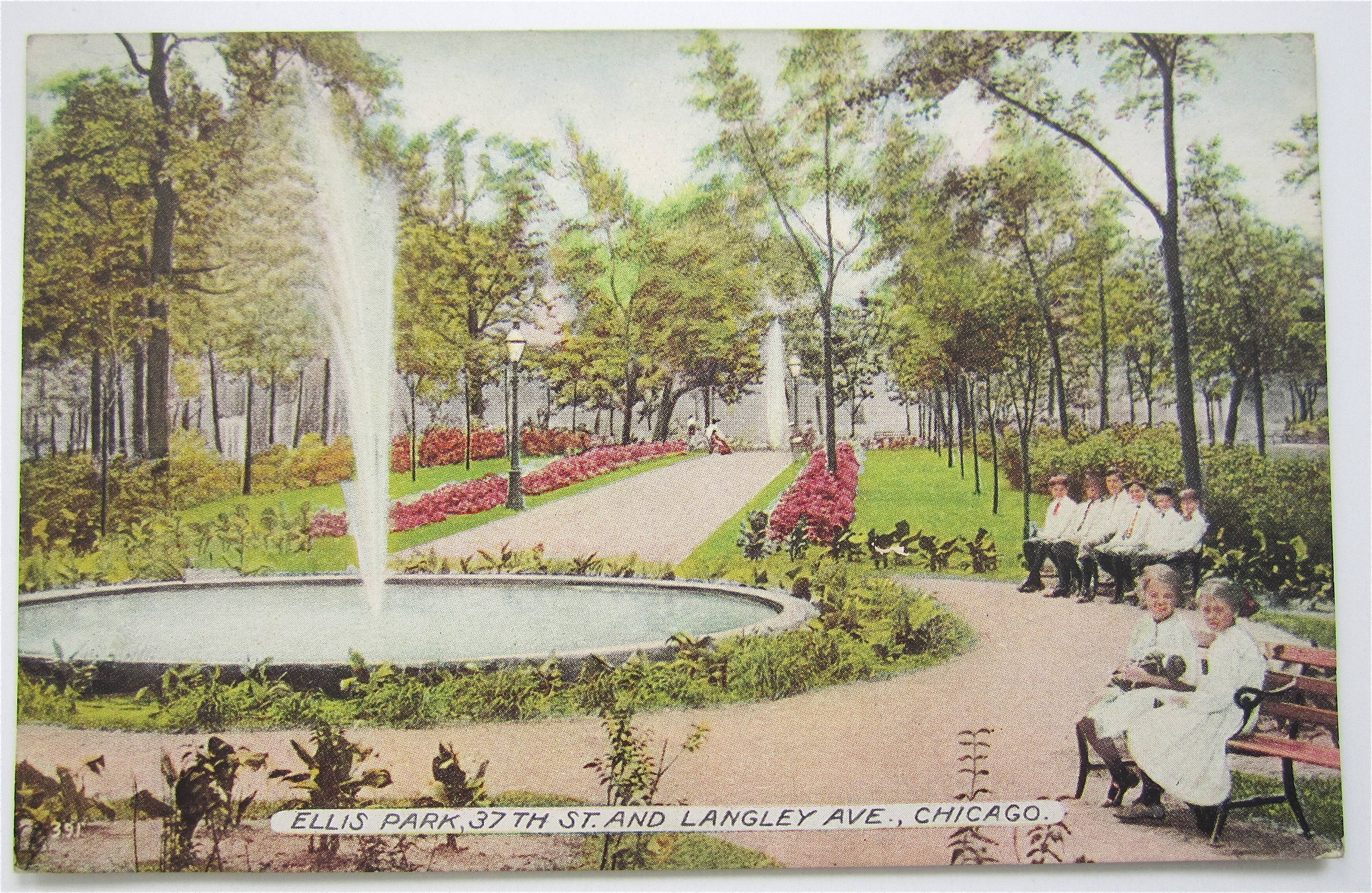 Ellis Park Postcard (Chicago)