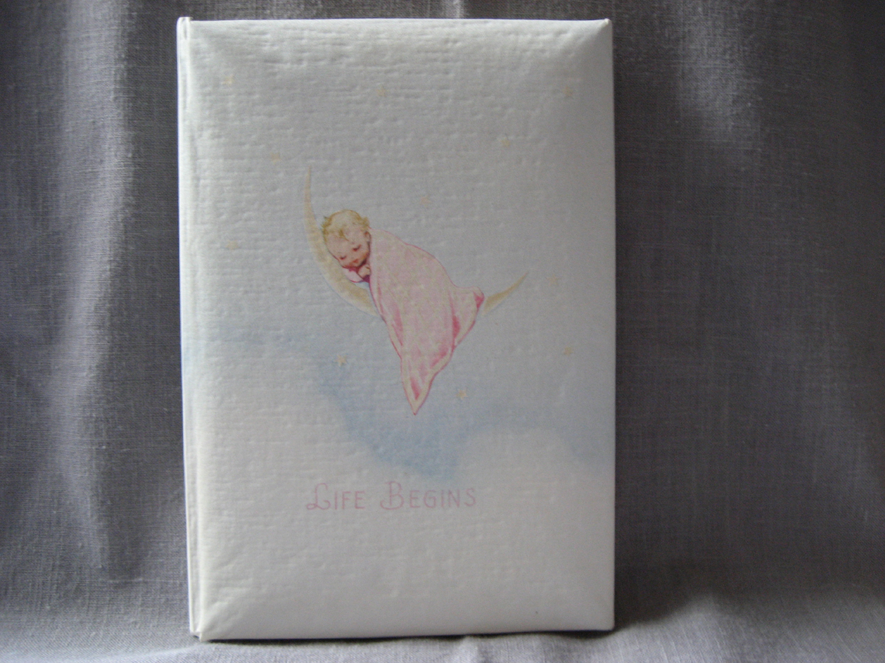 Life Begins Baby Book