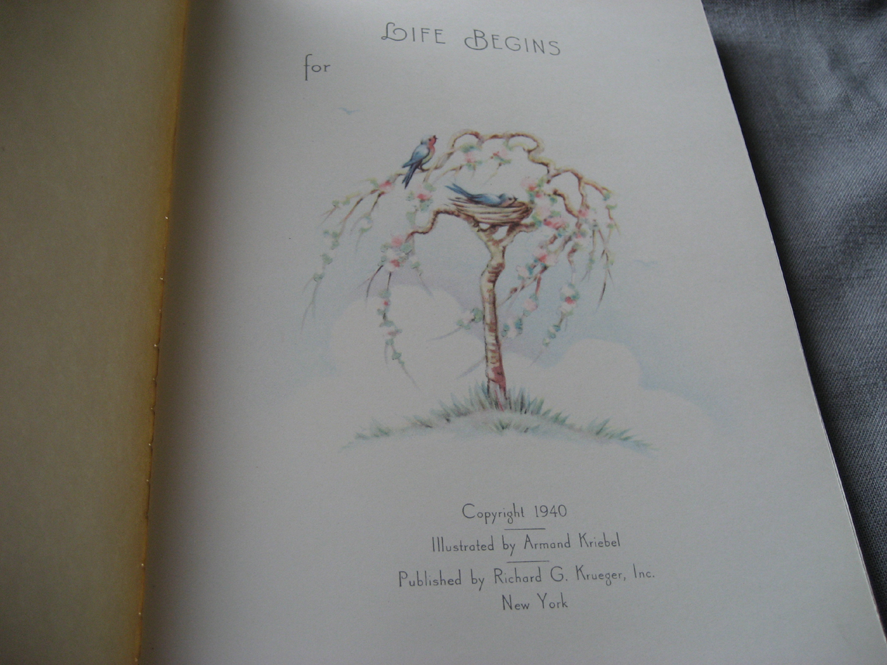 Life Begins Baby Book