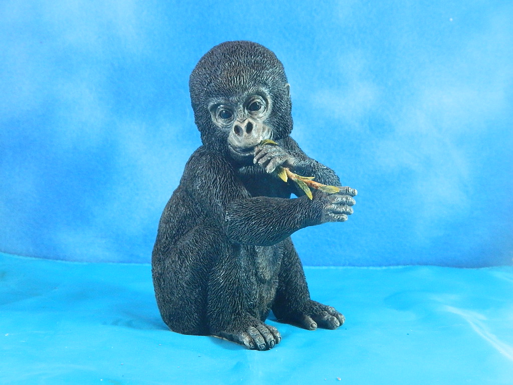 Country Artist The Natural World Baby Gorilla