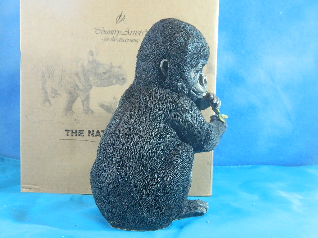 Country Artist The Natural World Baby Gorilla