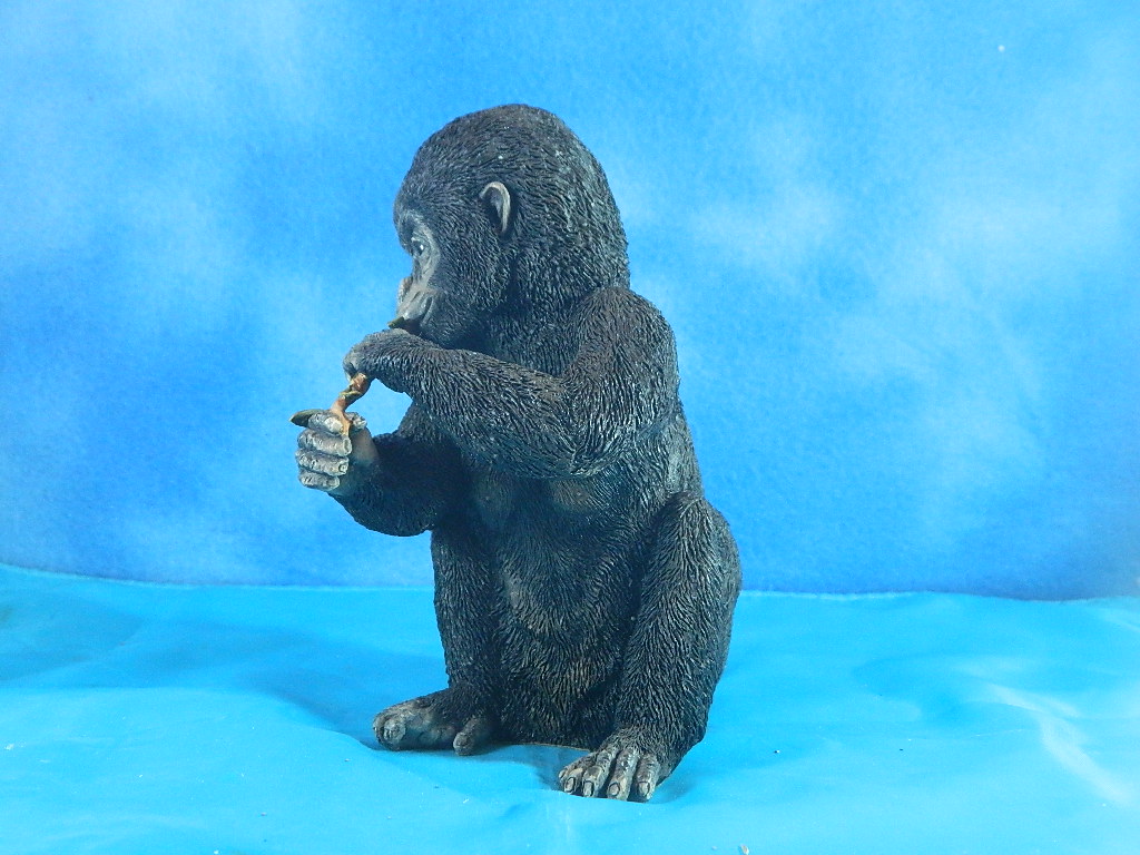 Country Artist The Natural World Baby Gorilla