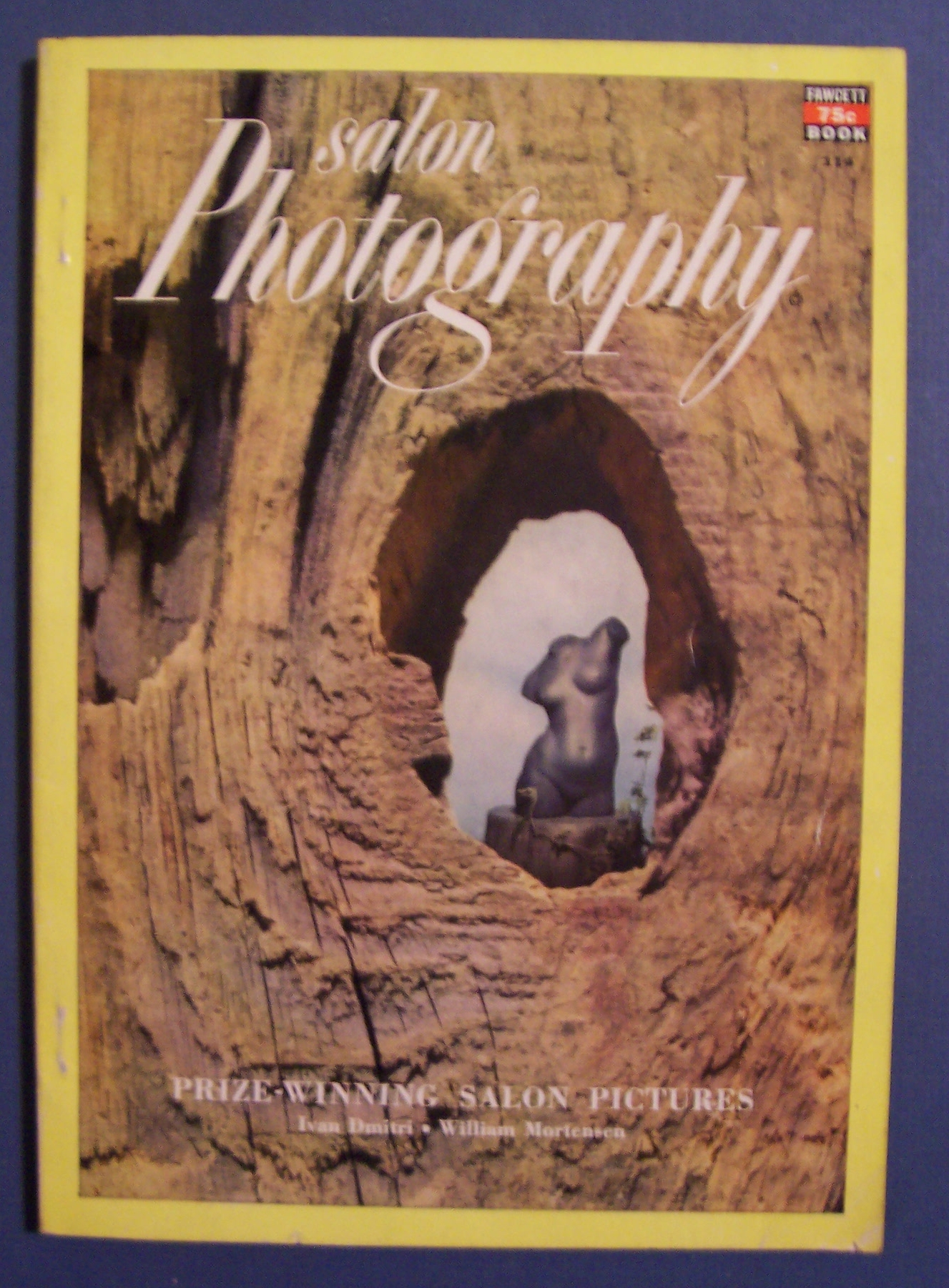 Vintage Salon Photography Magazine - 1951
