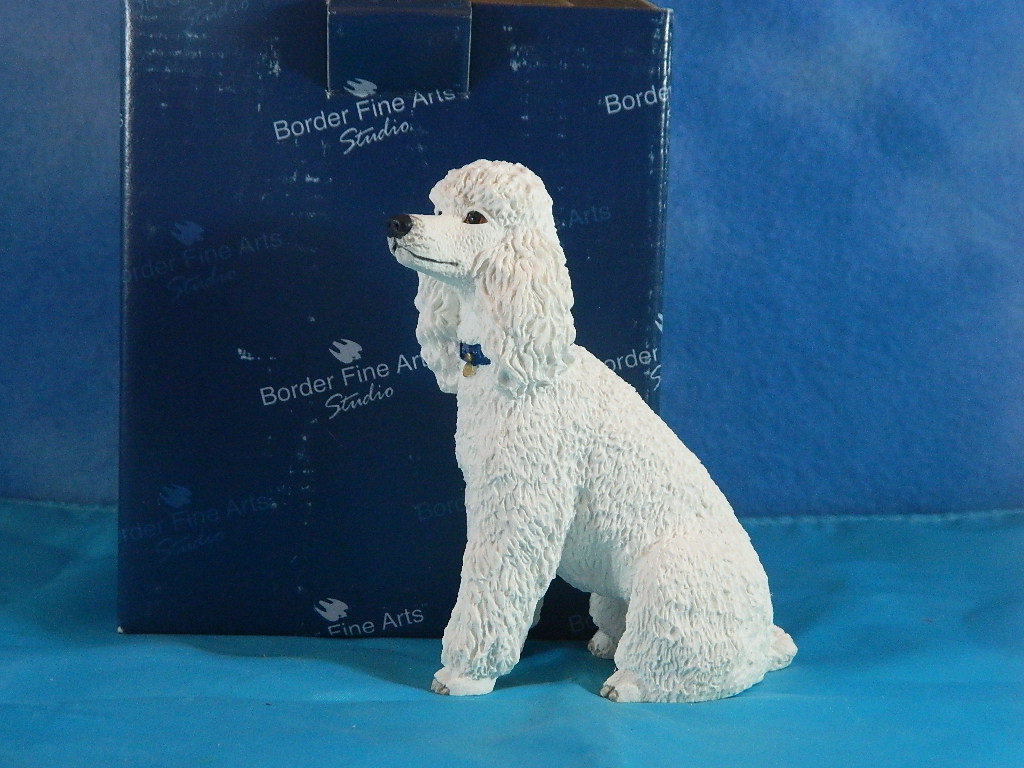 Border Fine Arts Sitting White Poodle