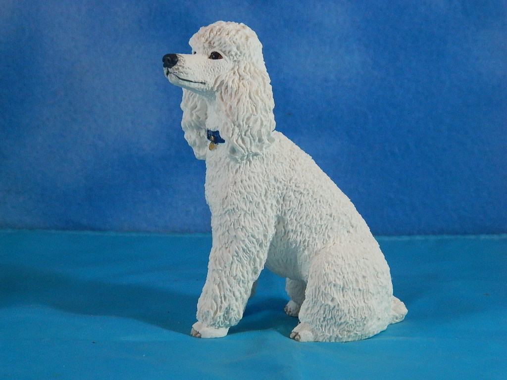 Border Fine Arts Sitting White Poodle