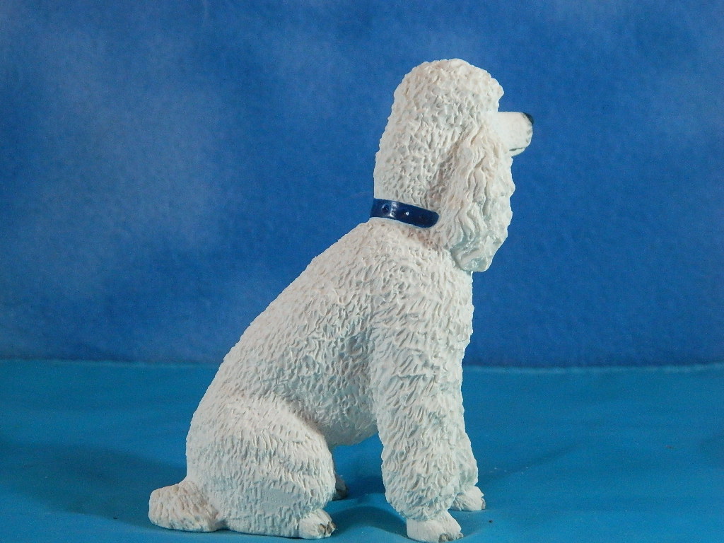 Border Fine Arts Sitting White Poodle