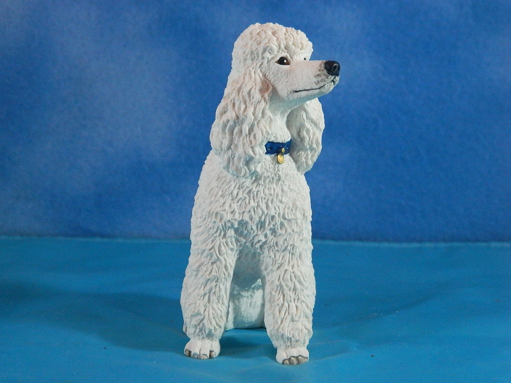 Border Fine Arts Sitting White Poodle