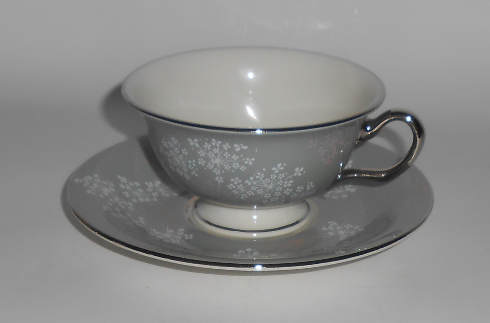 Castleton China Platinum Lace Cup & Saucer Set