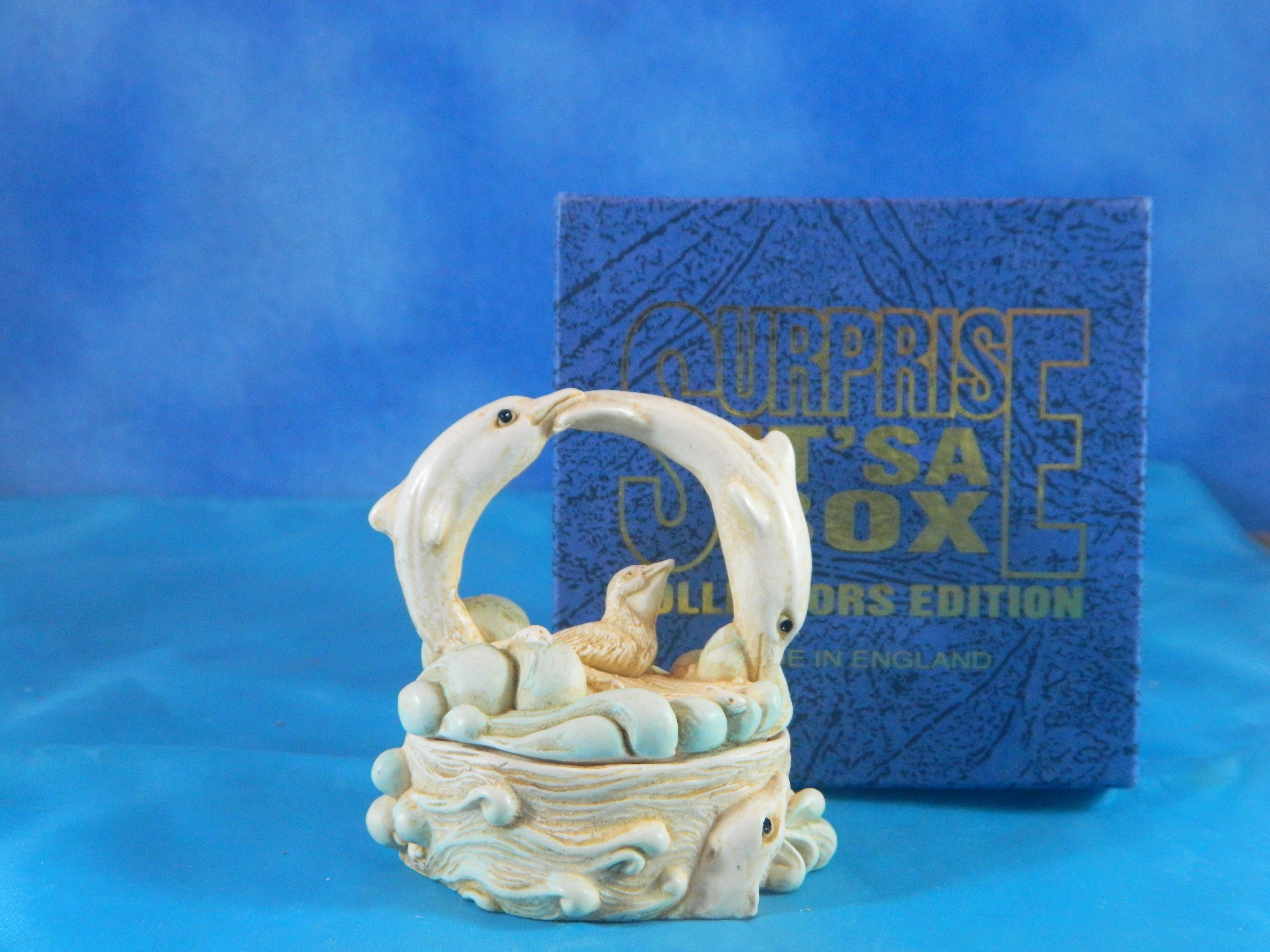 Surprise it's a Box Dolphins