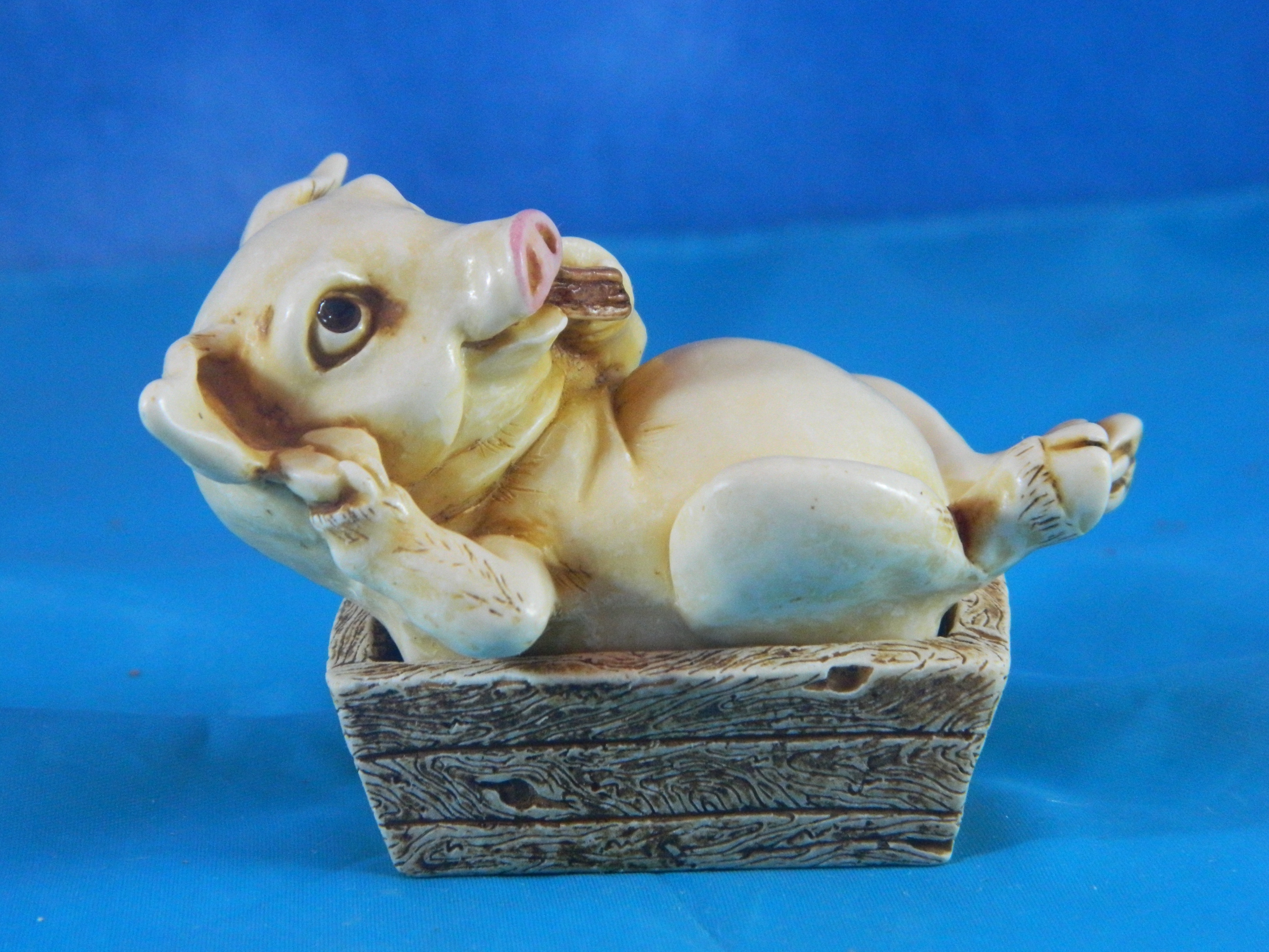 Surprise it's a Box Pig in a Trough