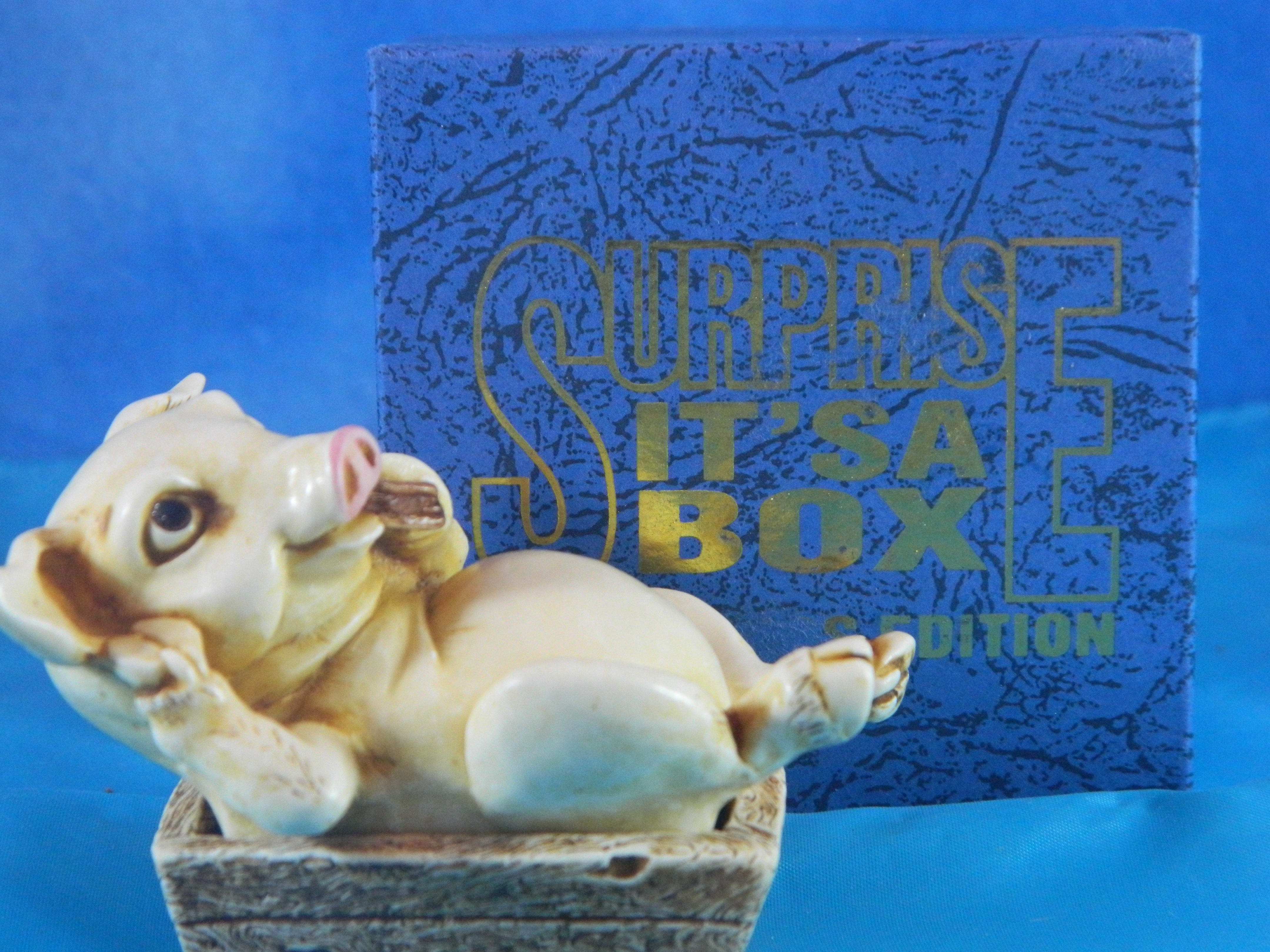 Surprise it's a Box Pig in a Trough