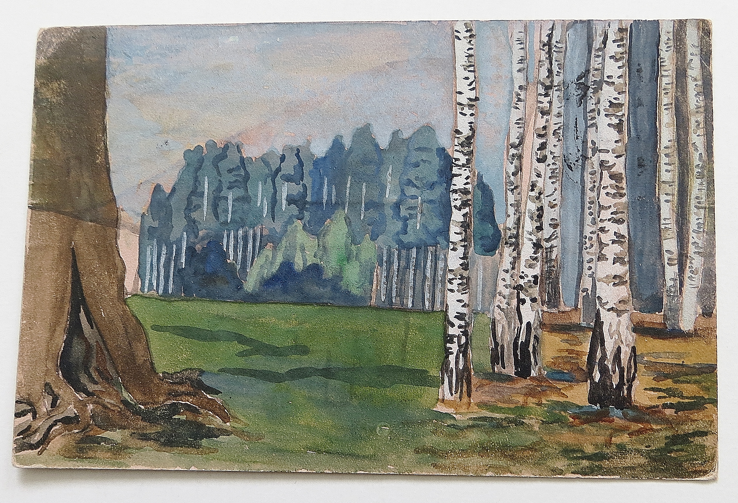 Part Of A Forest