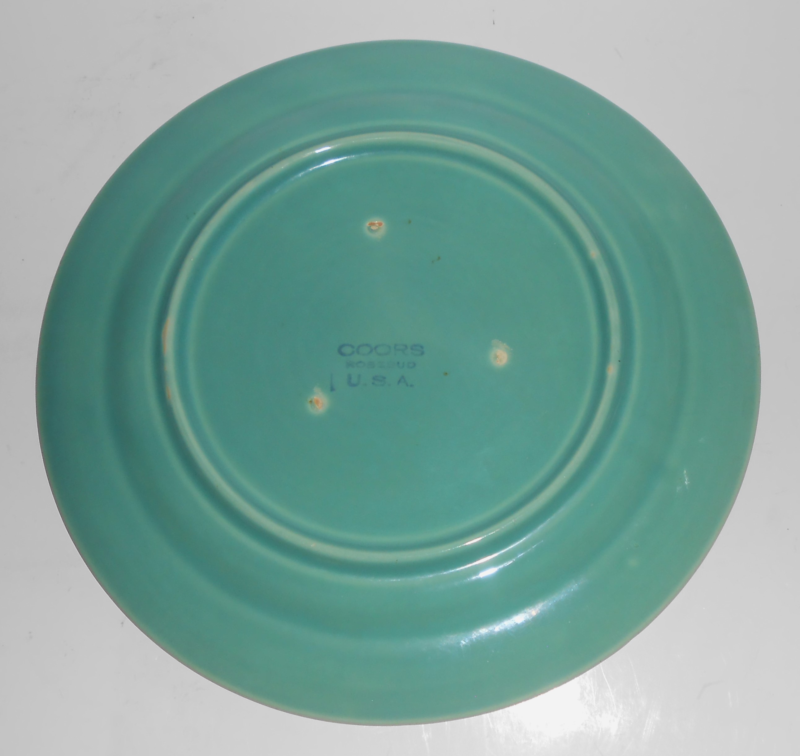 VINTAGE Coors Pottery Rosebud Early Green 9'' Plate #2