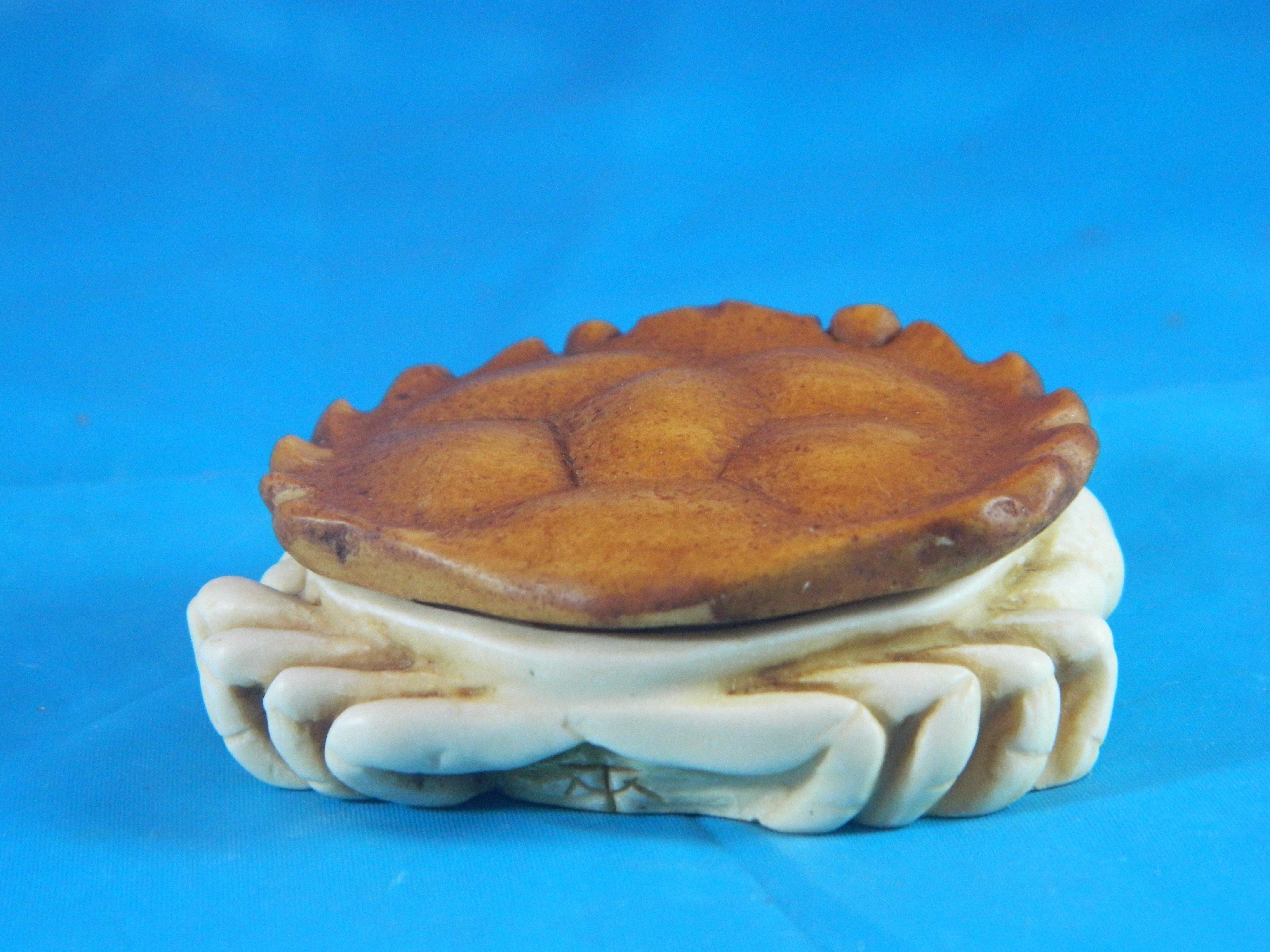 Surprise it's a Box Crab