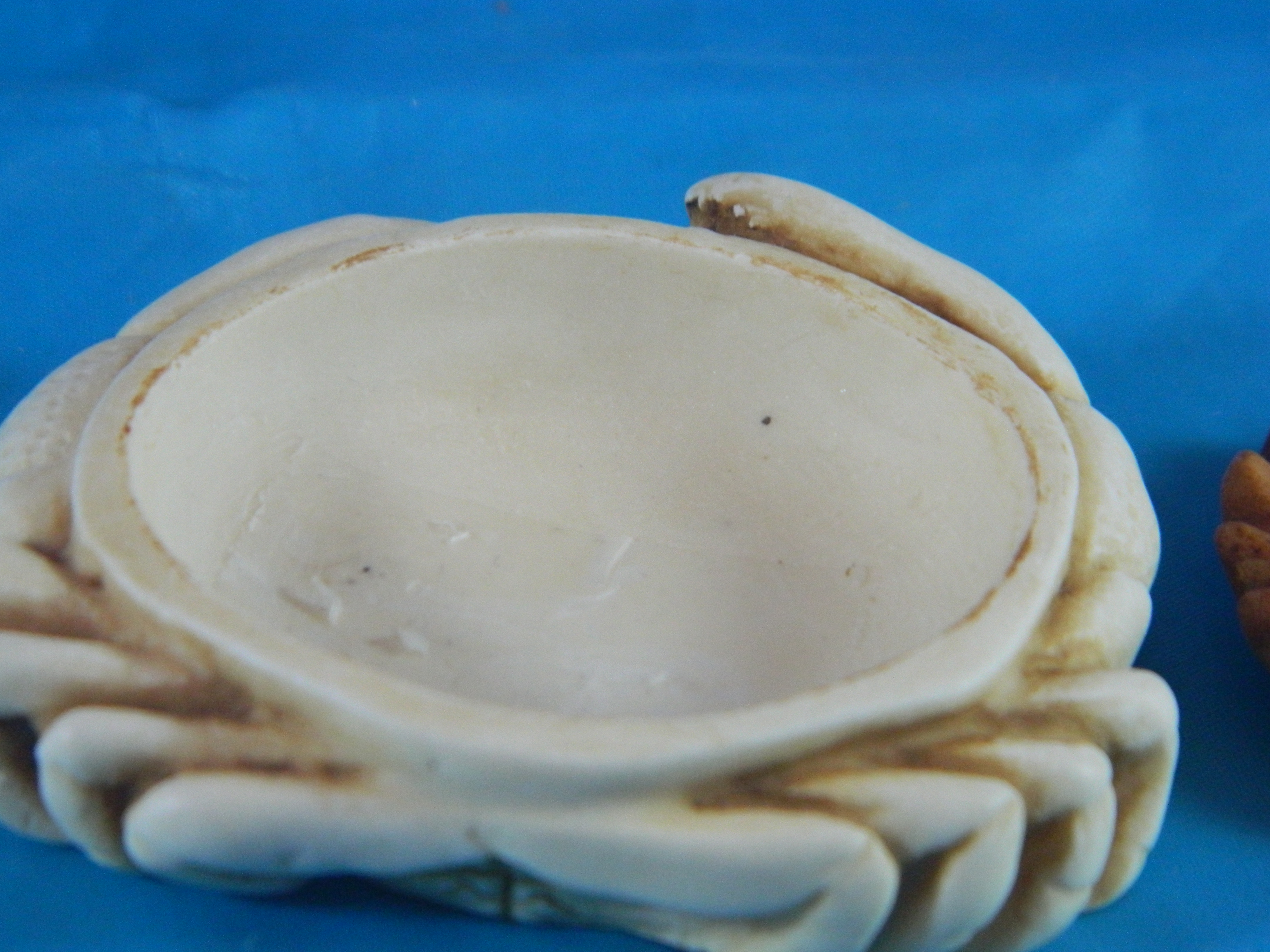 Surprise it's a Box Crab