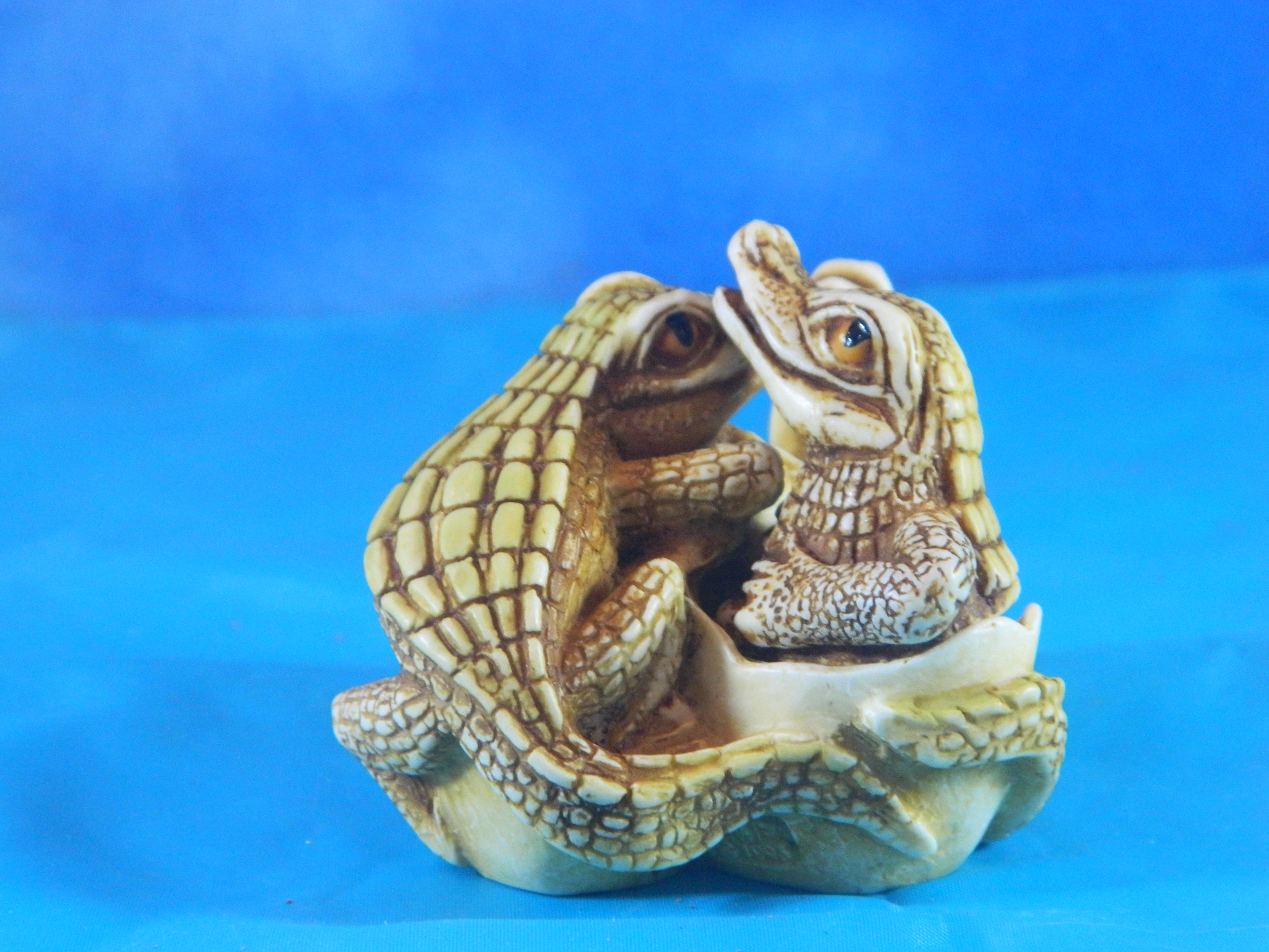 Surprise it's a Box Alligators