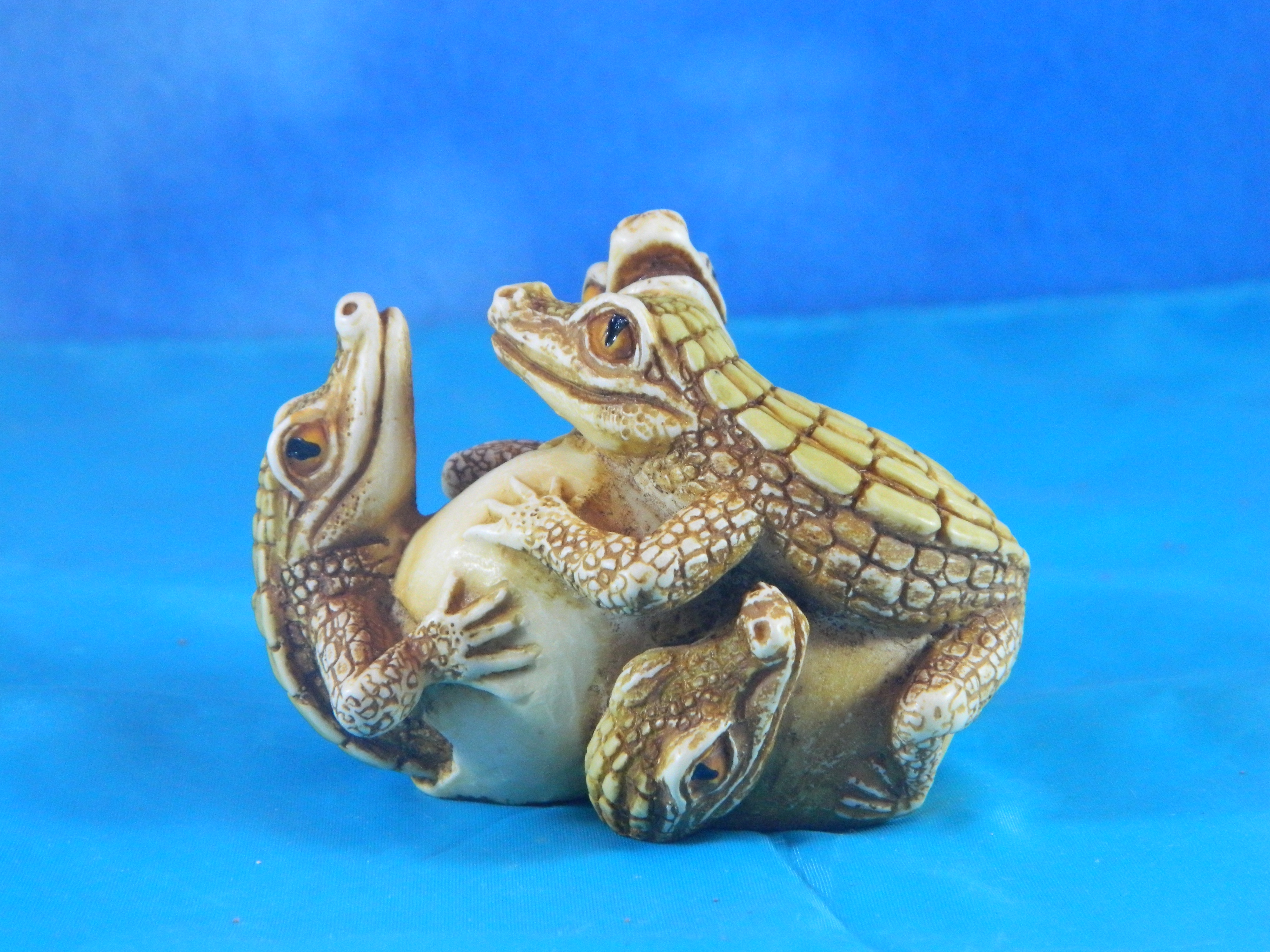 Surprise it's a Box Alligators