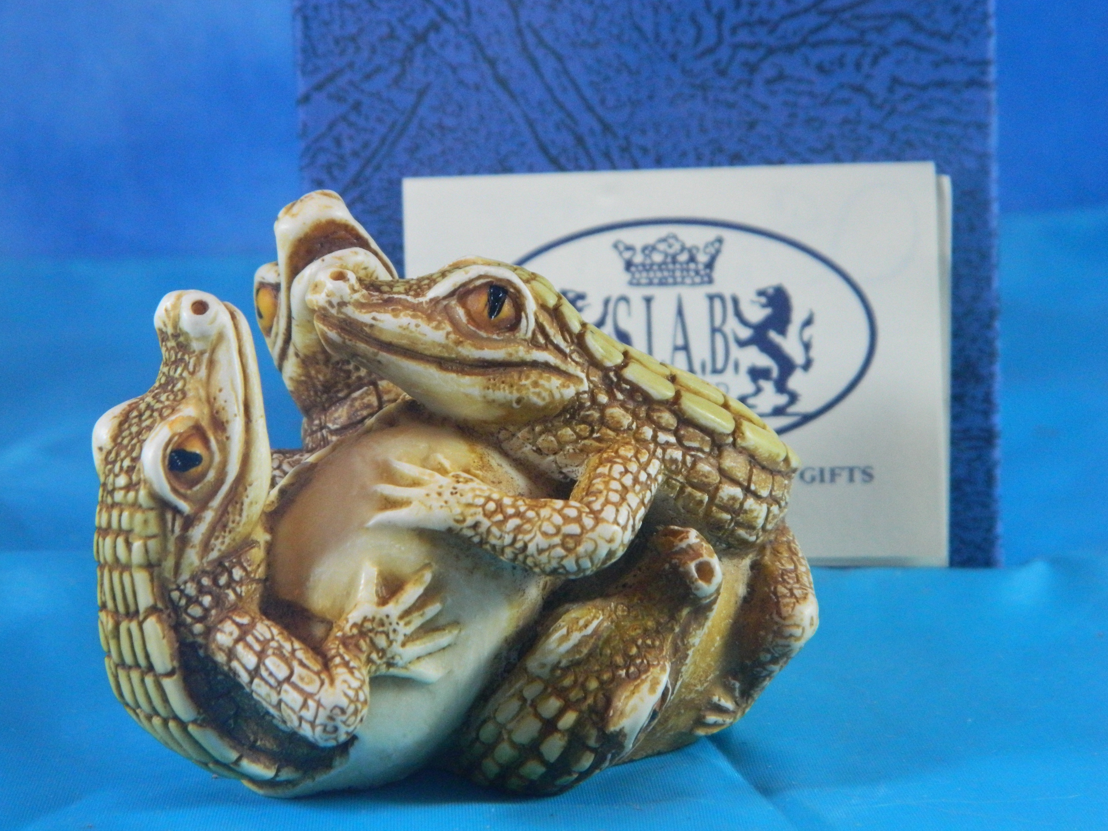 Surprise it's a Box Alligators