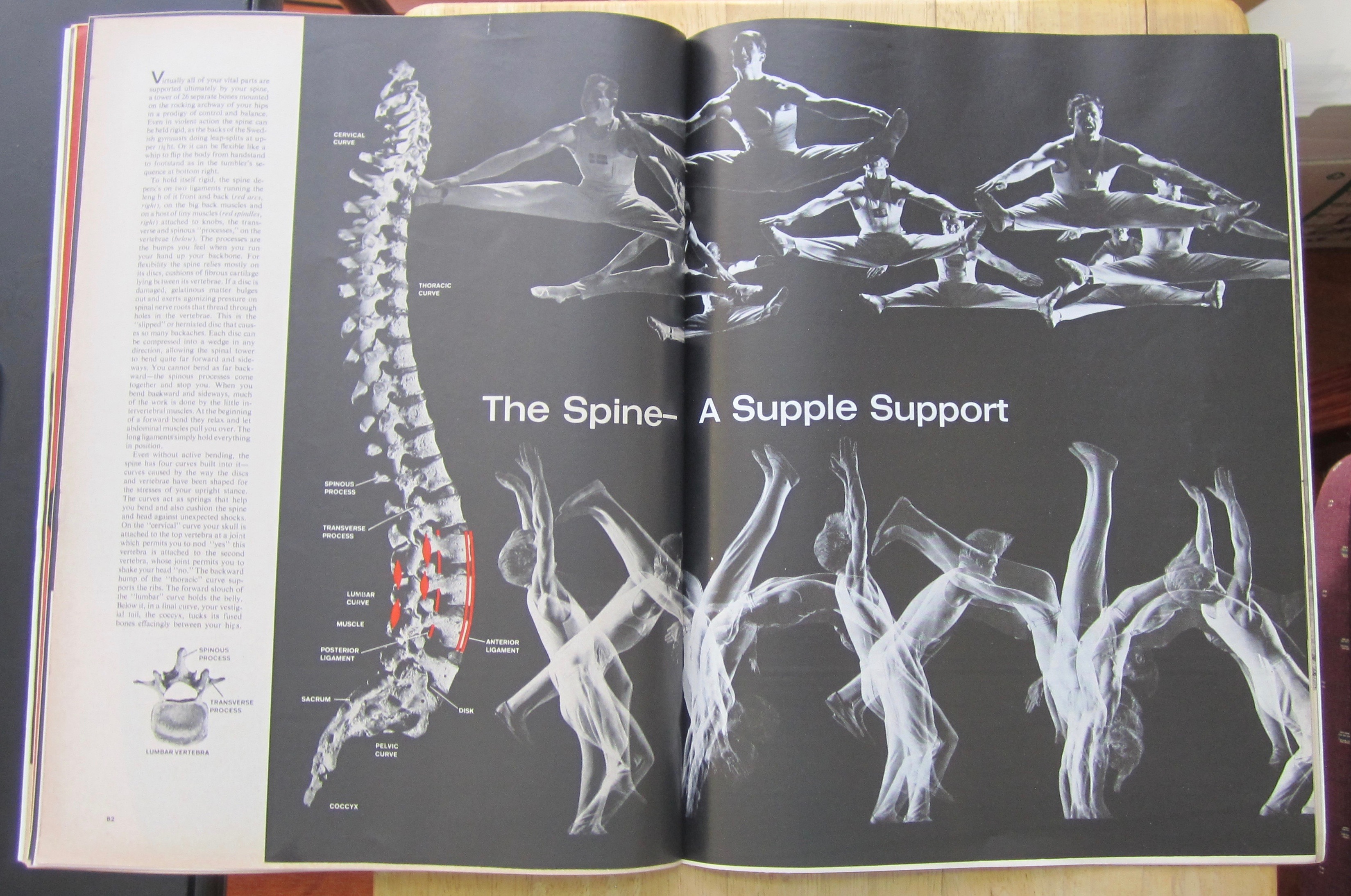 Life  Magazine-October 26, 1962-The Human Body