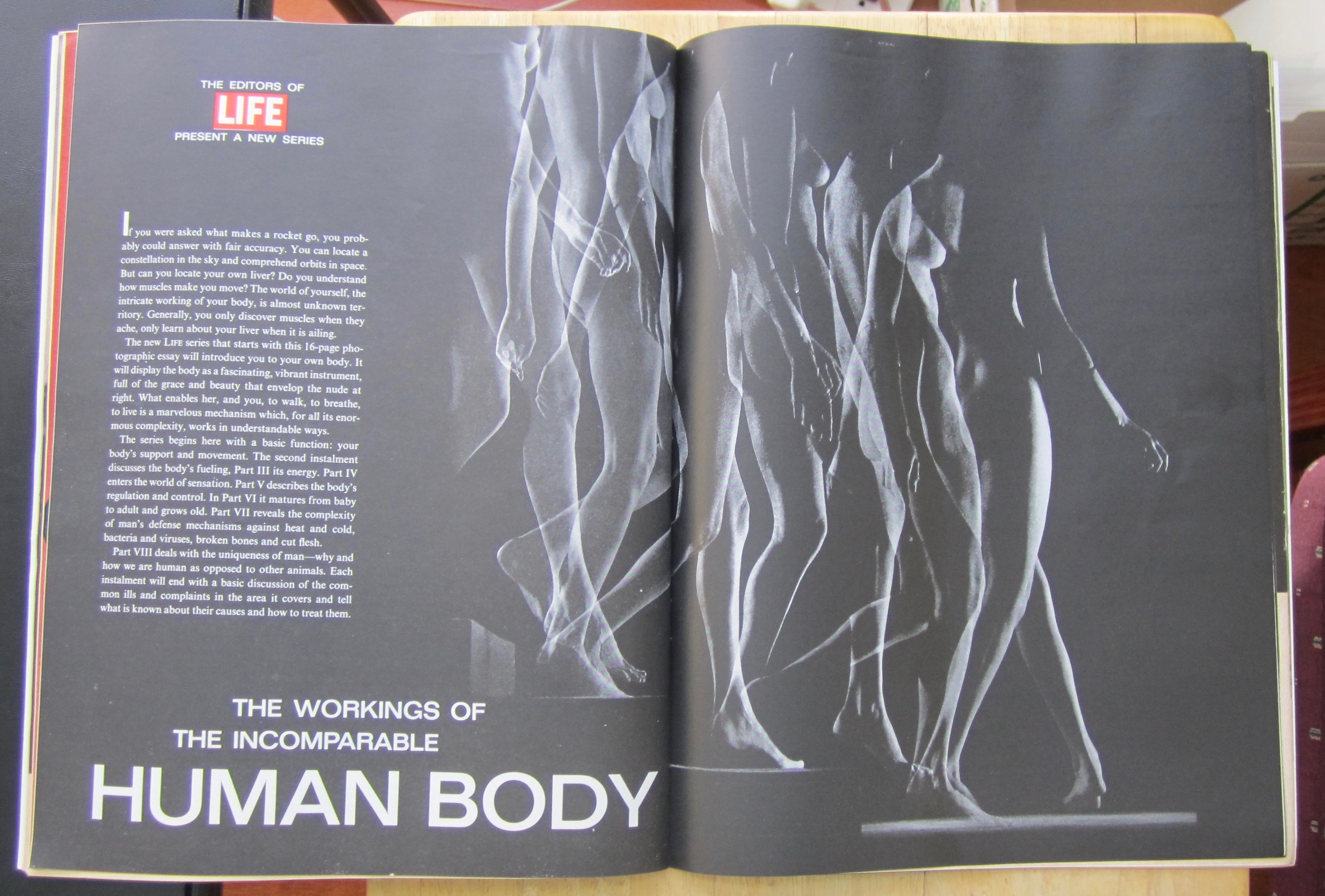 Life  Magazine-October 26, 1962-The Human Body