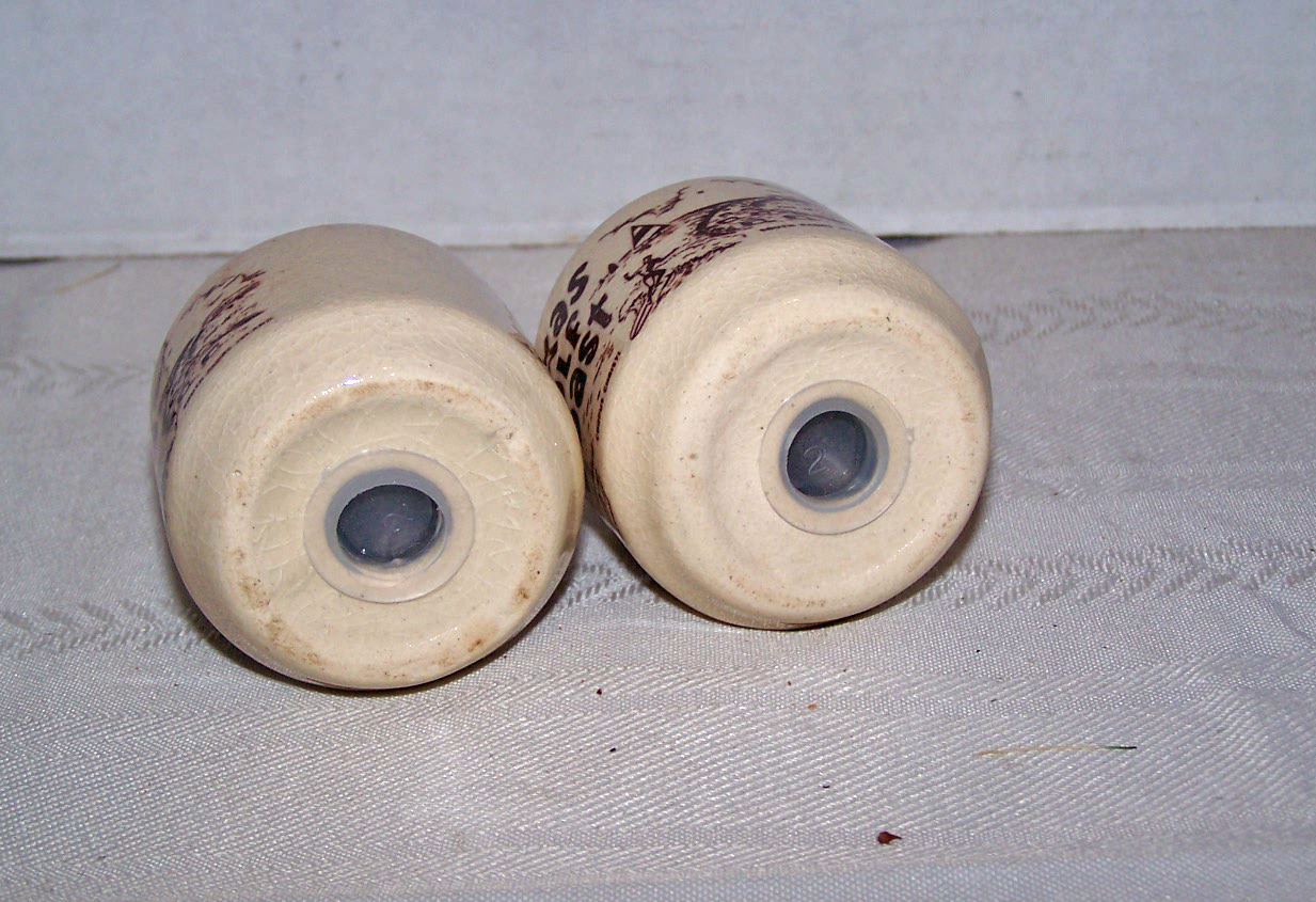 2 Tone Ceramic Salt & Pepper Shakers Souvenir of Texas
