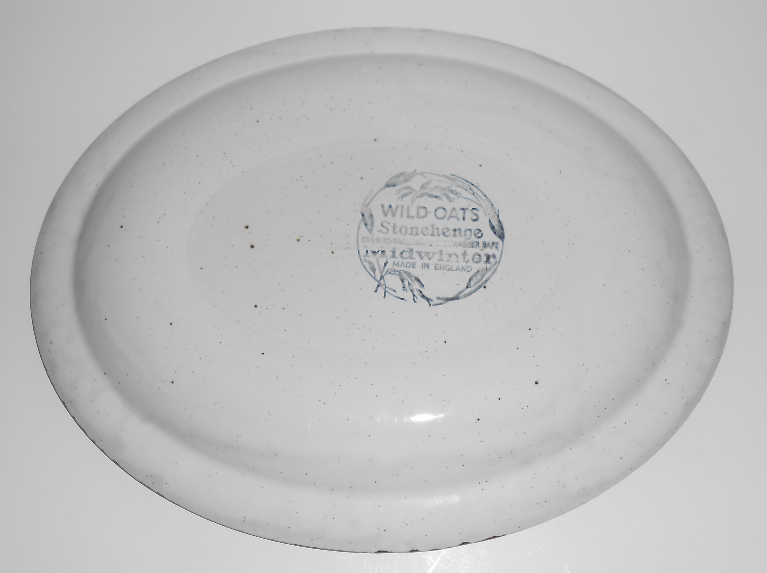 VINTAGE Midwinter Pottery Stonehenge Wild Oats 12'' Pla