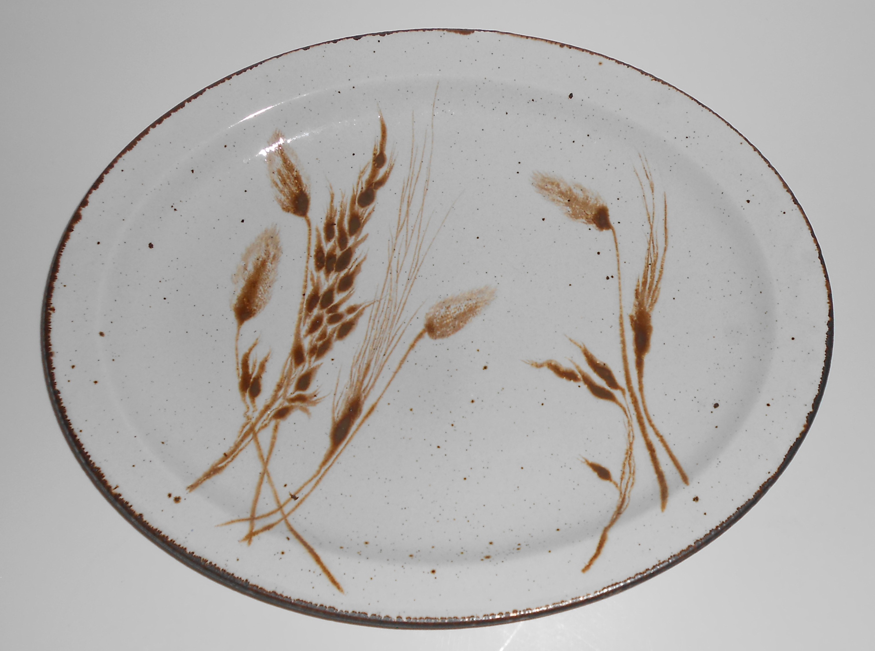 VINTAGE Midwinter Pottery Stonehenge Wild Oats 12'' Pla