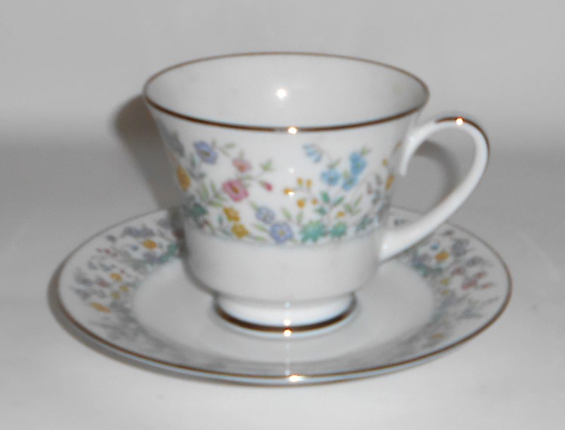 Noritake Porcelain China 2551 Spring Garden w/Platinum Cup & Saucer Set