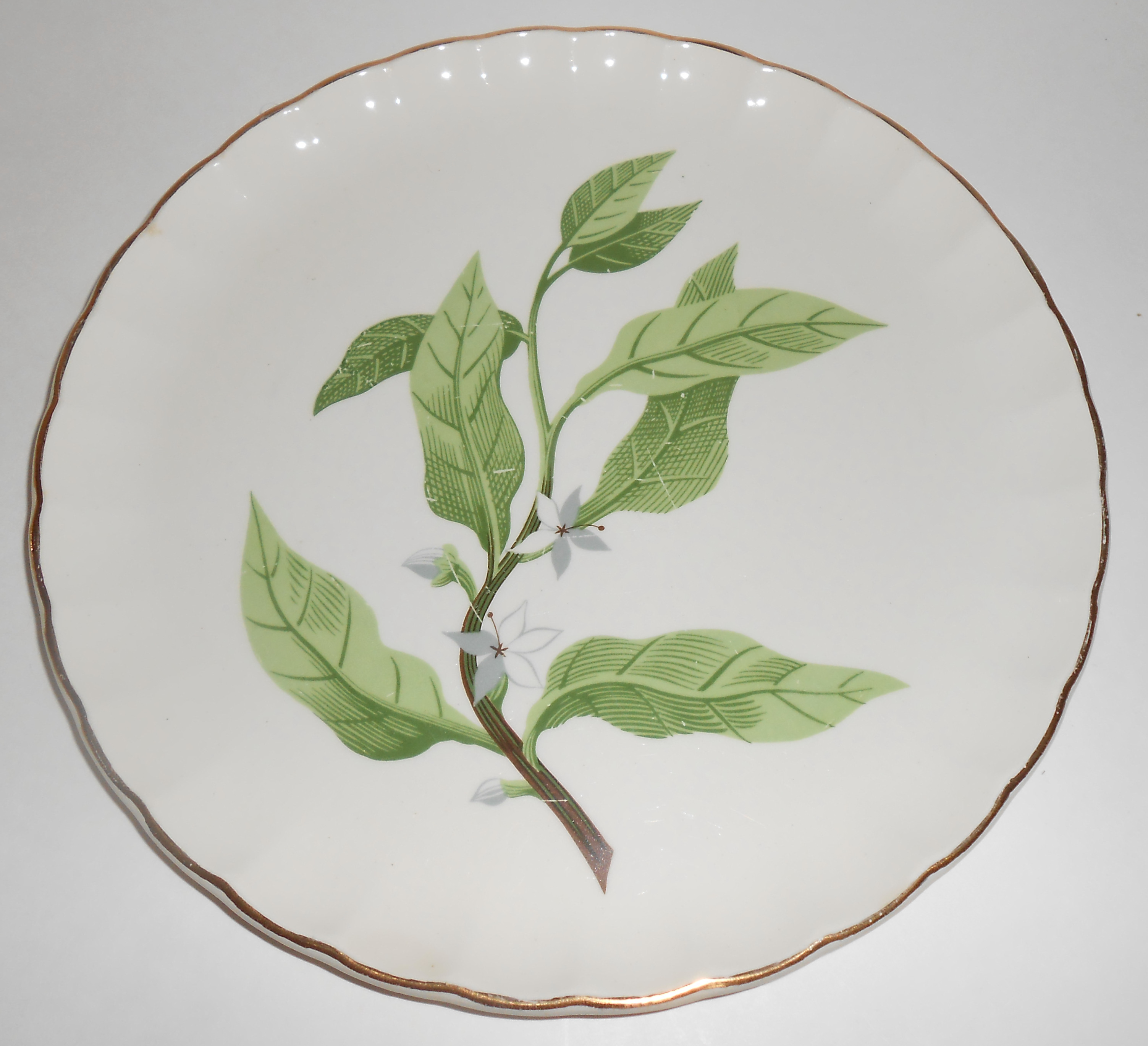 W. S. George Pottery China B8760 Floral Luncheon Plate!