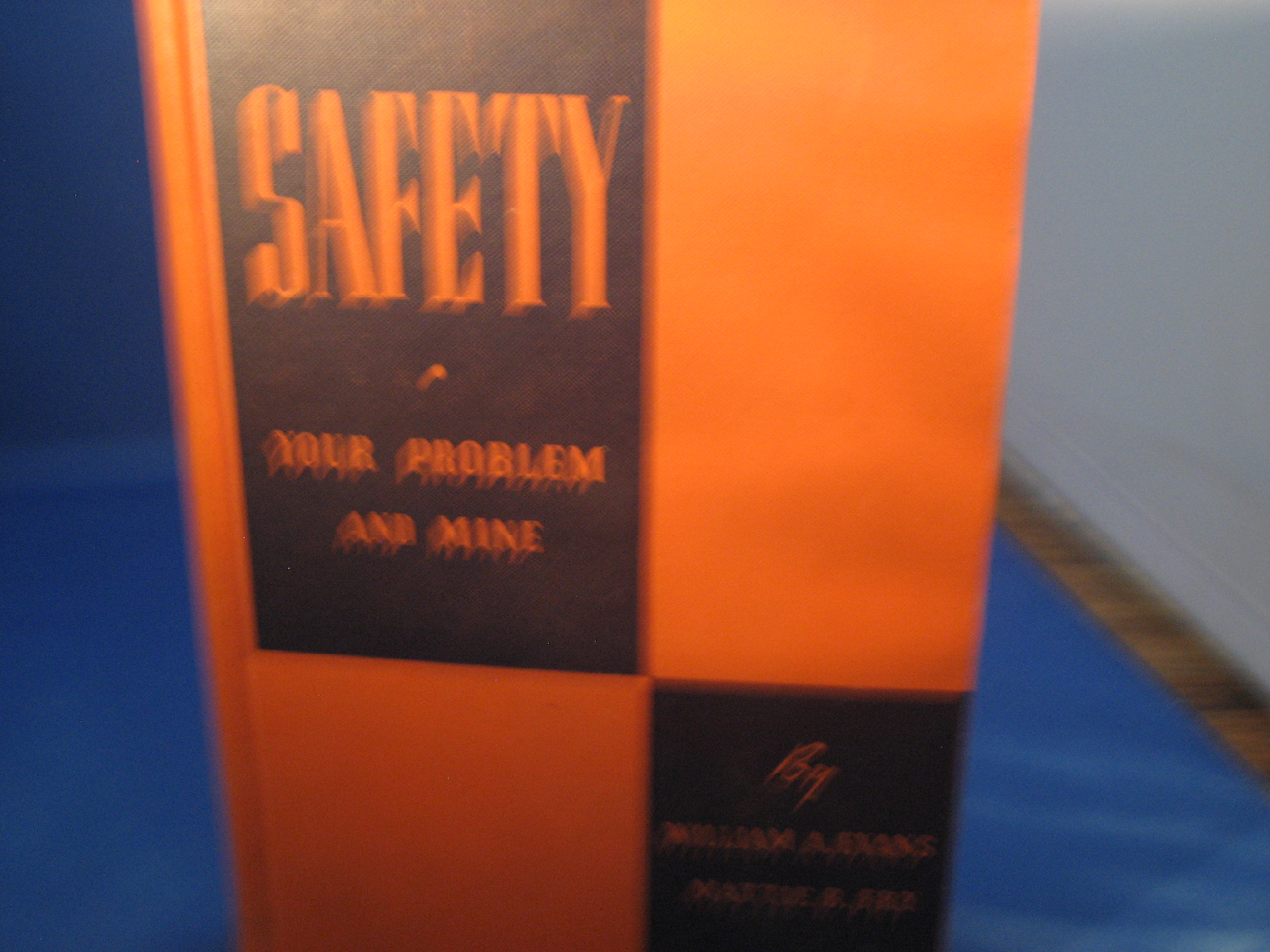 Safety Your Problem and Mine