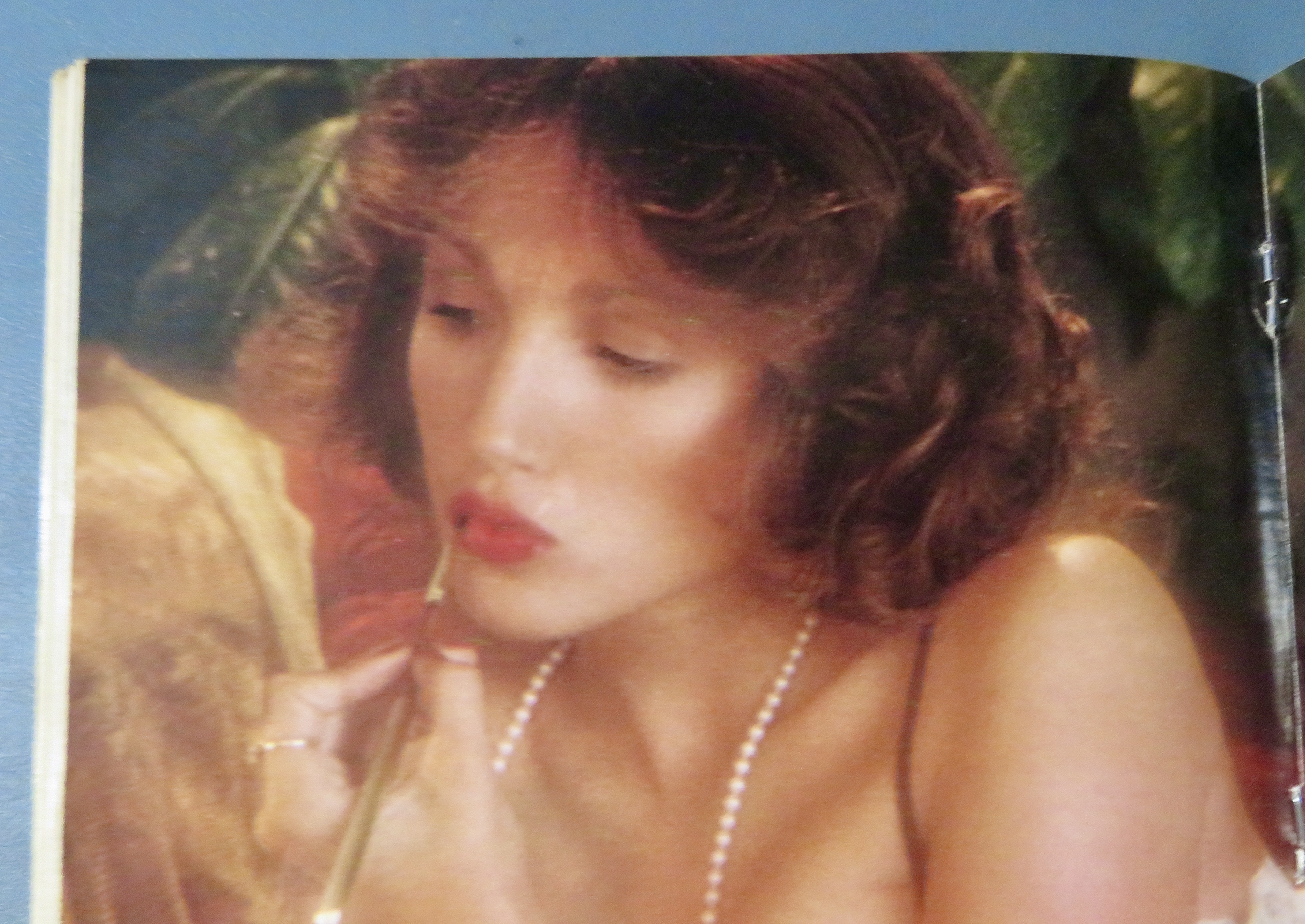 Penthouse Magazine August 1979 Diane Weber