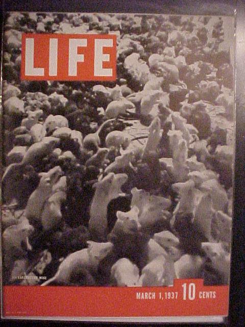 Life Magazine-March 1,1937-War On Cancer