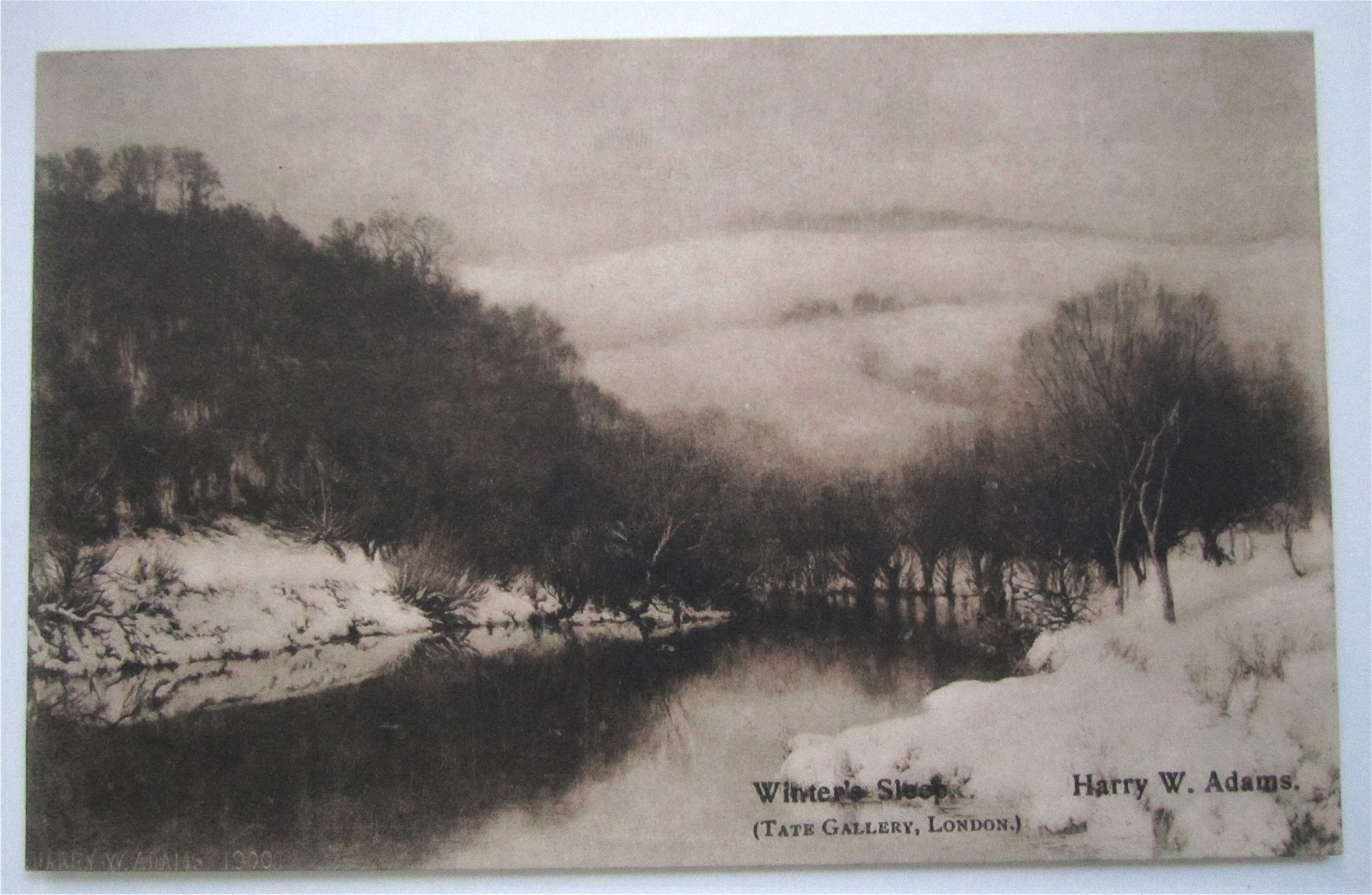 Winter's Sleep Postcard