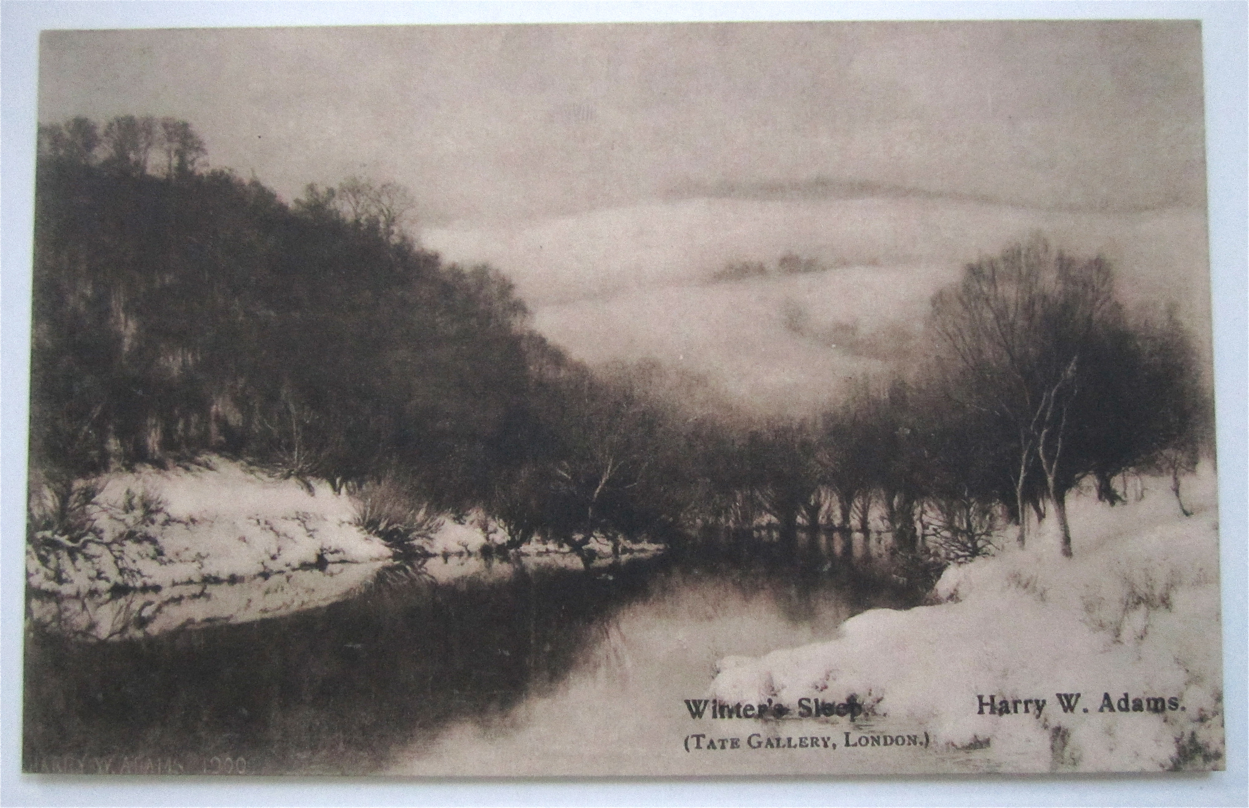 Winter's Sleep Postcard