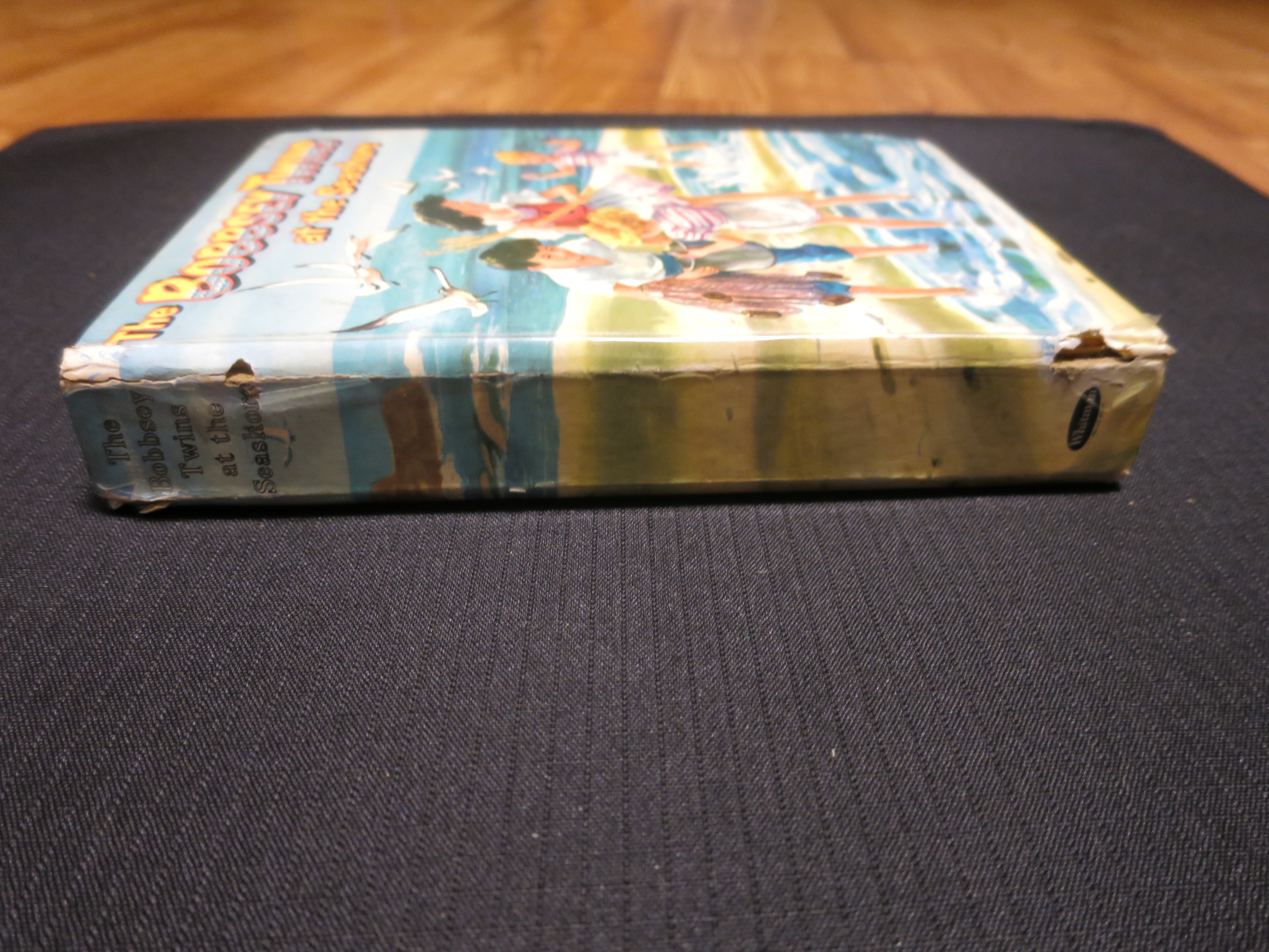The Bobbsey Twins at the Seashore by Whiteman 1964