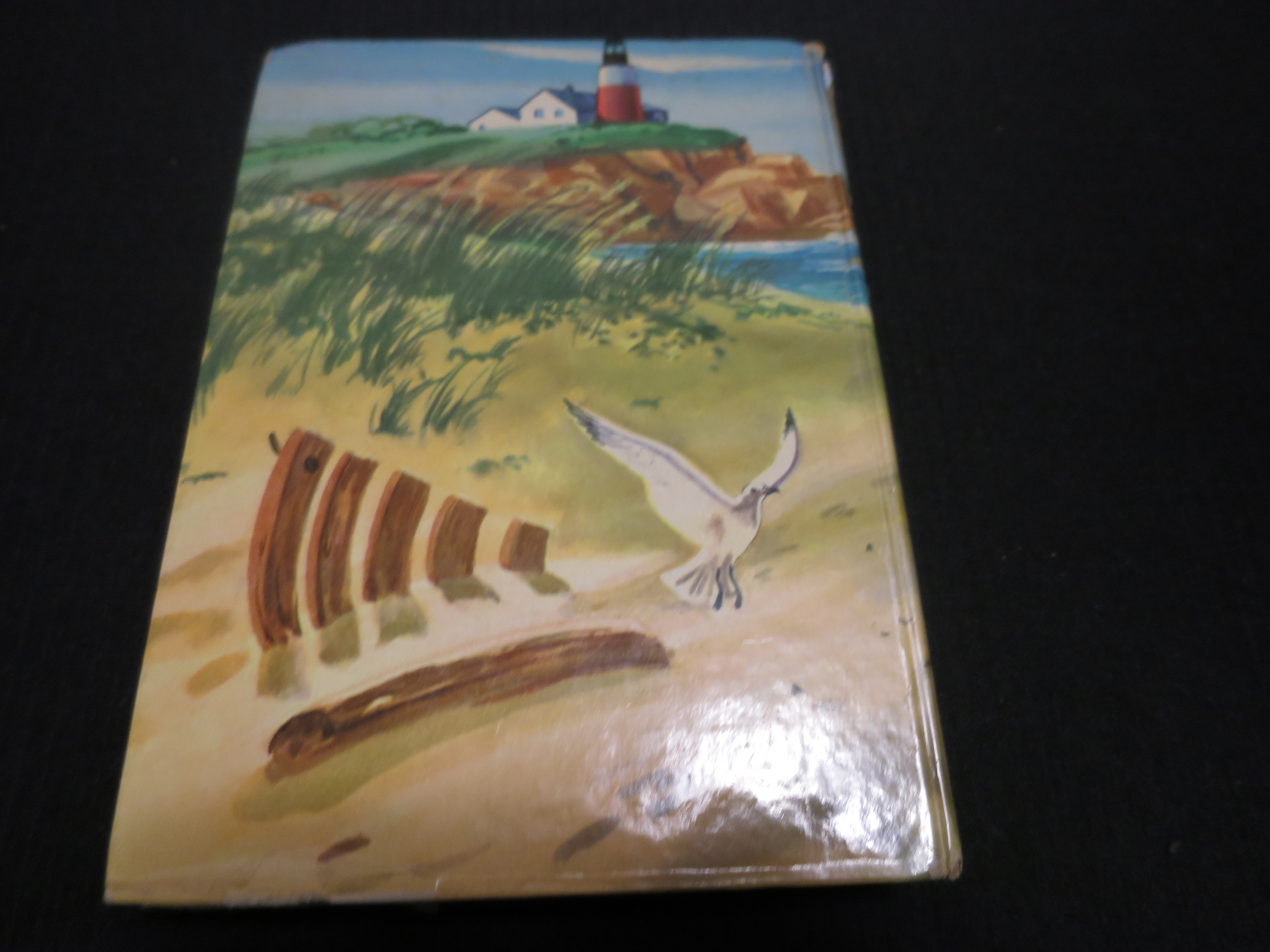 The Bobbsey Twins at the Seashore by Whiteman 1964
