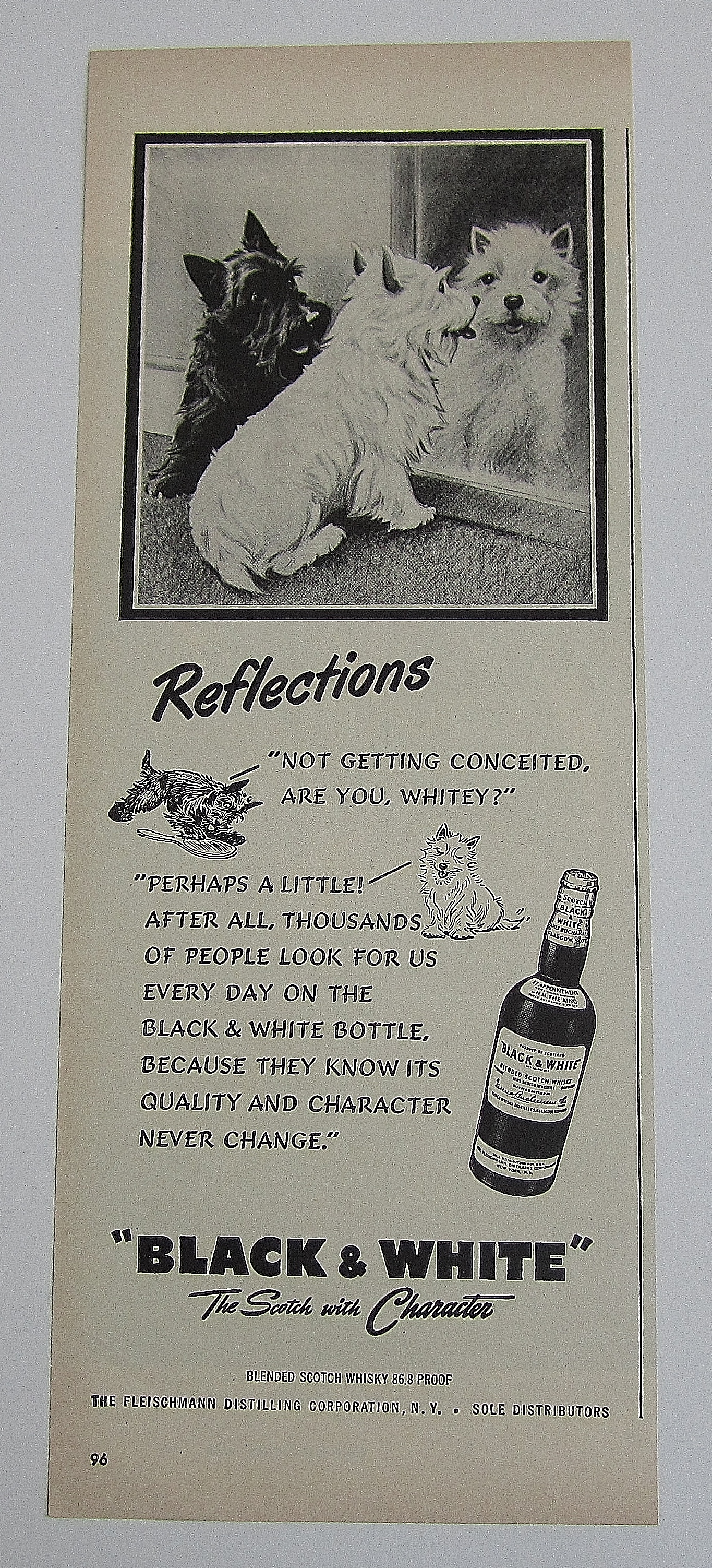 1950 Black & White Whiskey With Black & White Puppies
