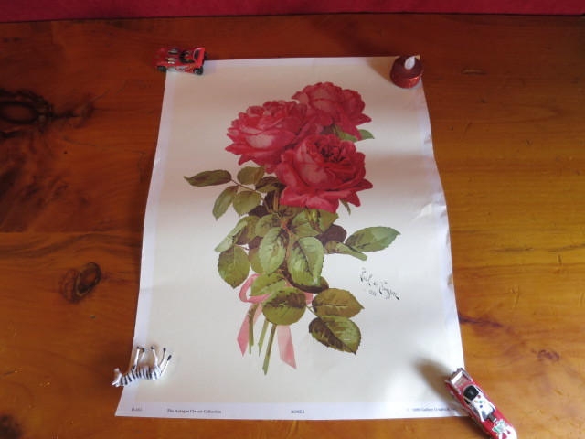 Roses Paul de Songpre Antique Classic Collection 1989 Gallery Gra