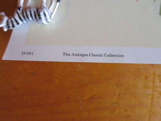 Roses Paul de Songpre Antique Classic Collection 1989 Gallery Gra