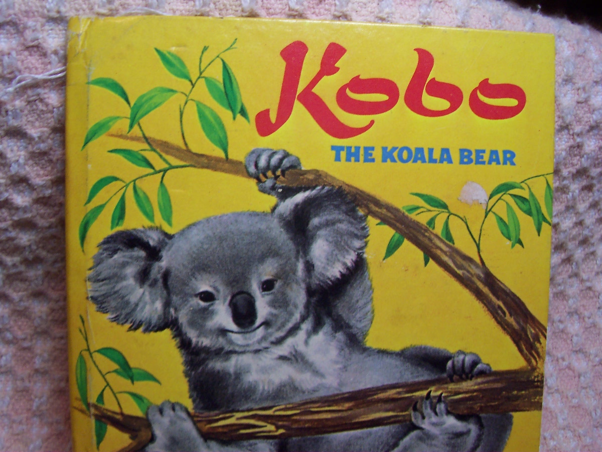 Kobo The Koala Bear 1968 Marjorie Schwalje